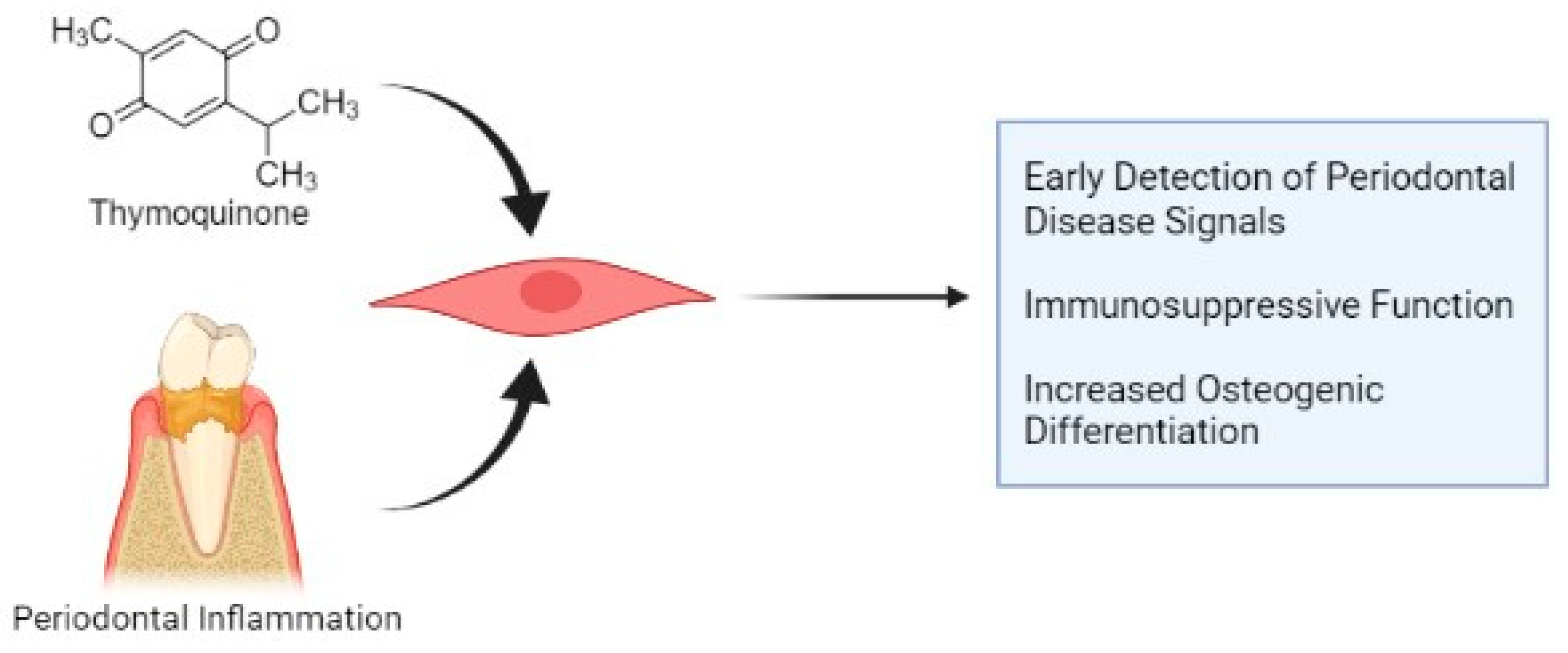 Cells 11 01452 g005 Cells 11 01452 g005