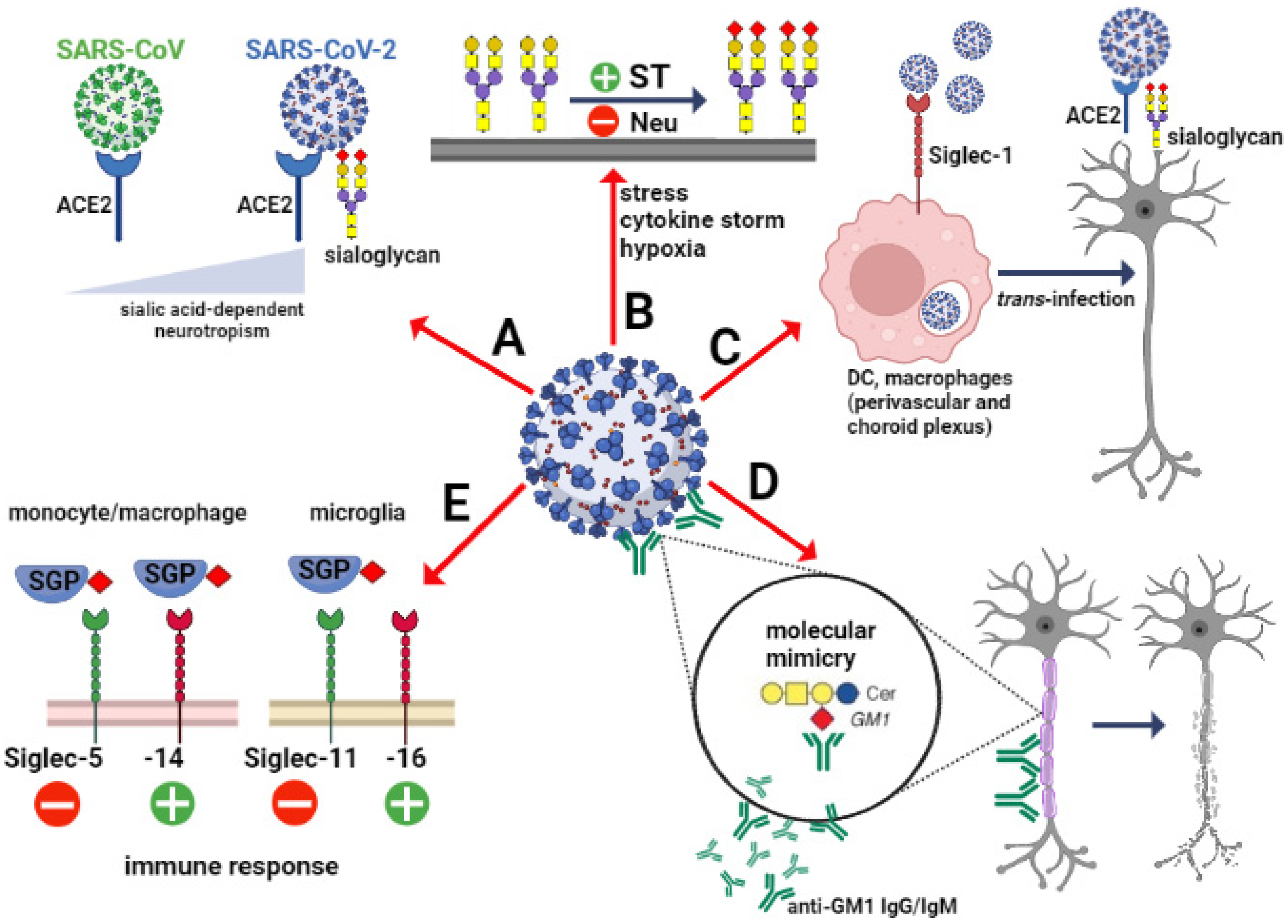 Cells 11 01458 g001 Cells 11 01458 g001