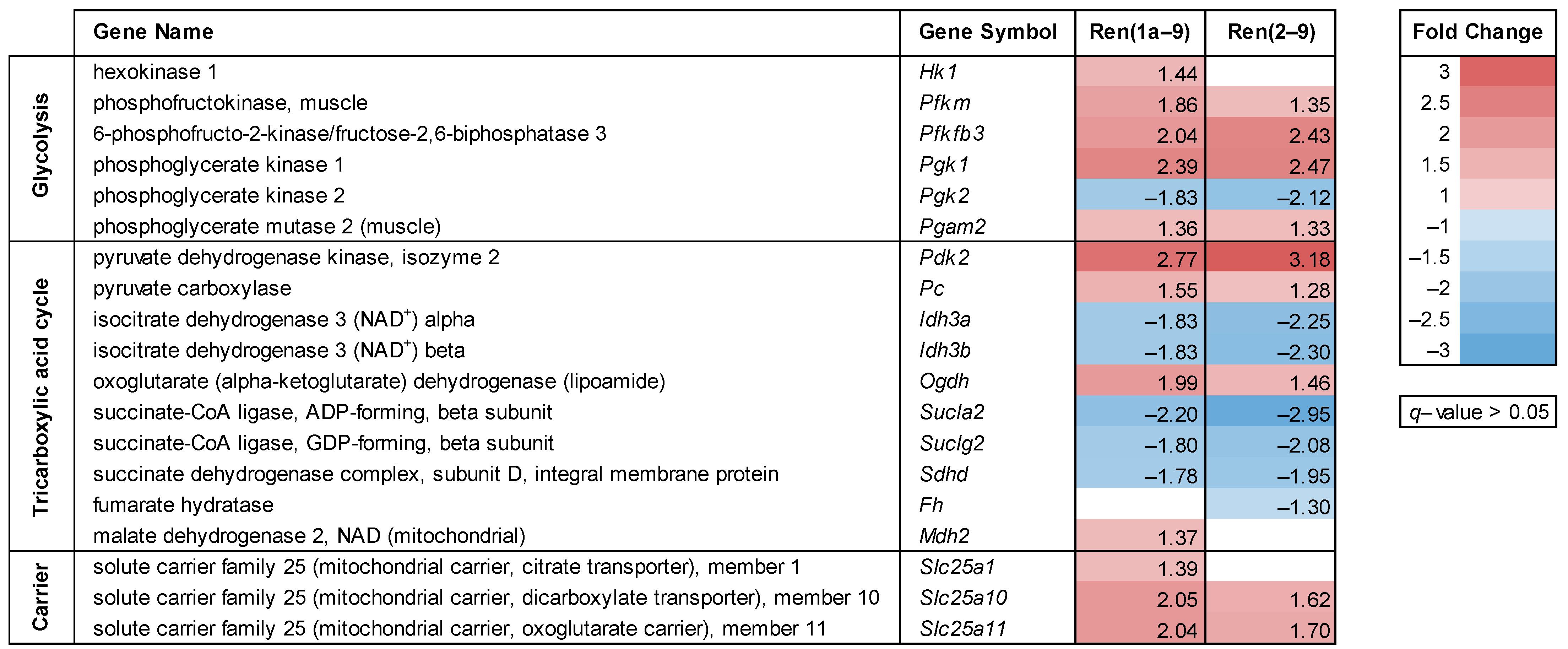 Cells 11 01459 g002 Cells 11 01459 g002