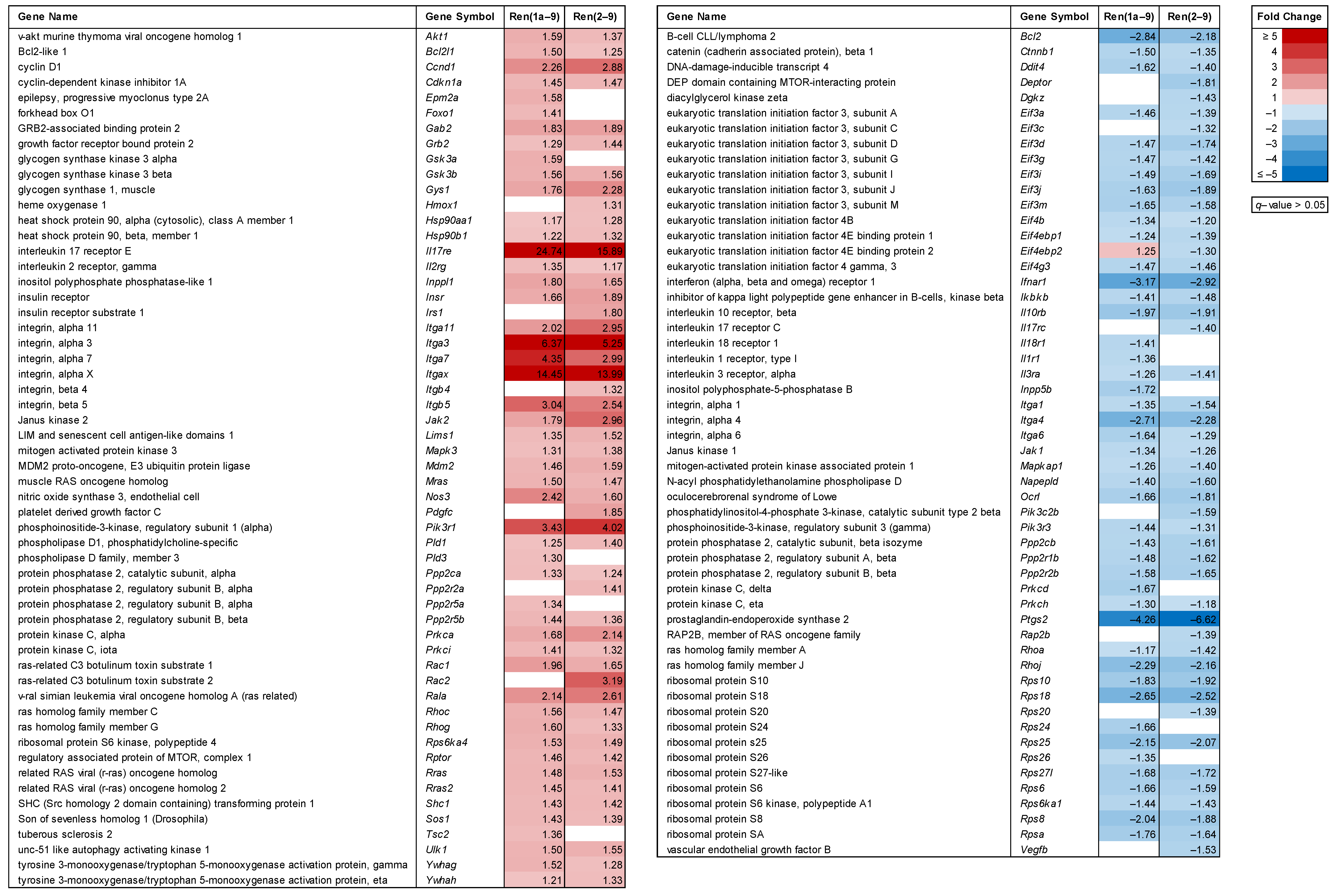 Cells 11 01459 g005 Cells 11 01459 g005