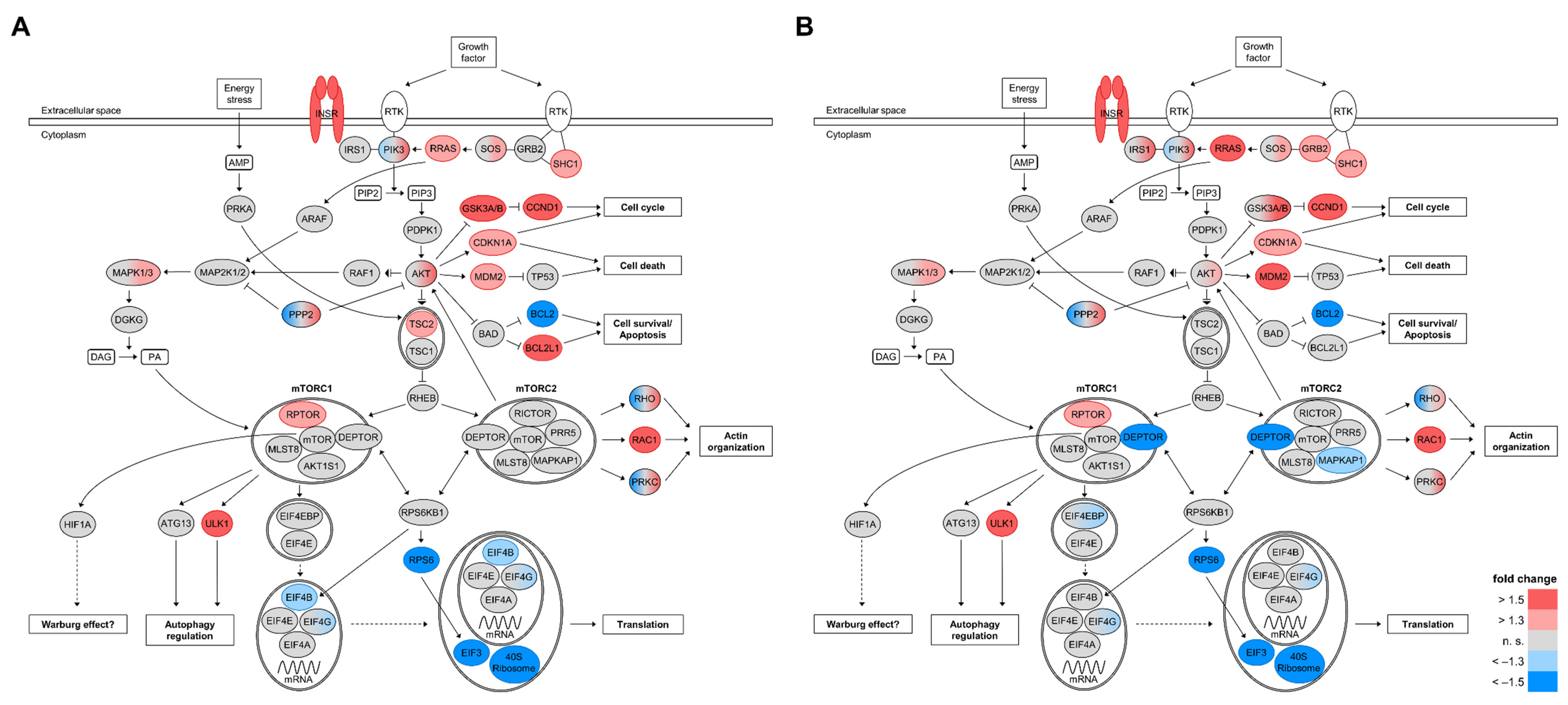 Cells 11 01459 g006 Cells 11 01459 g006