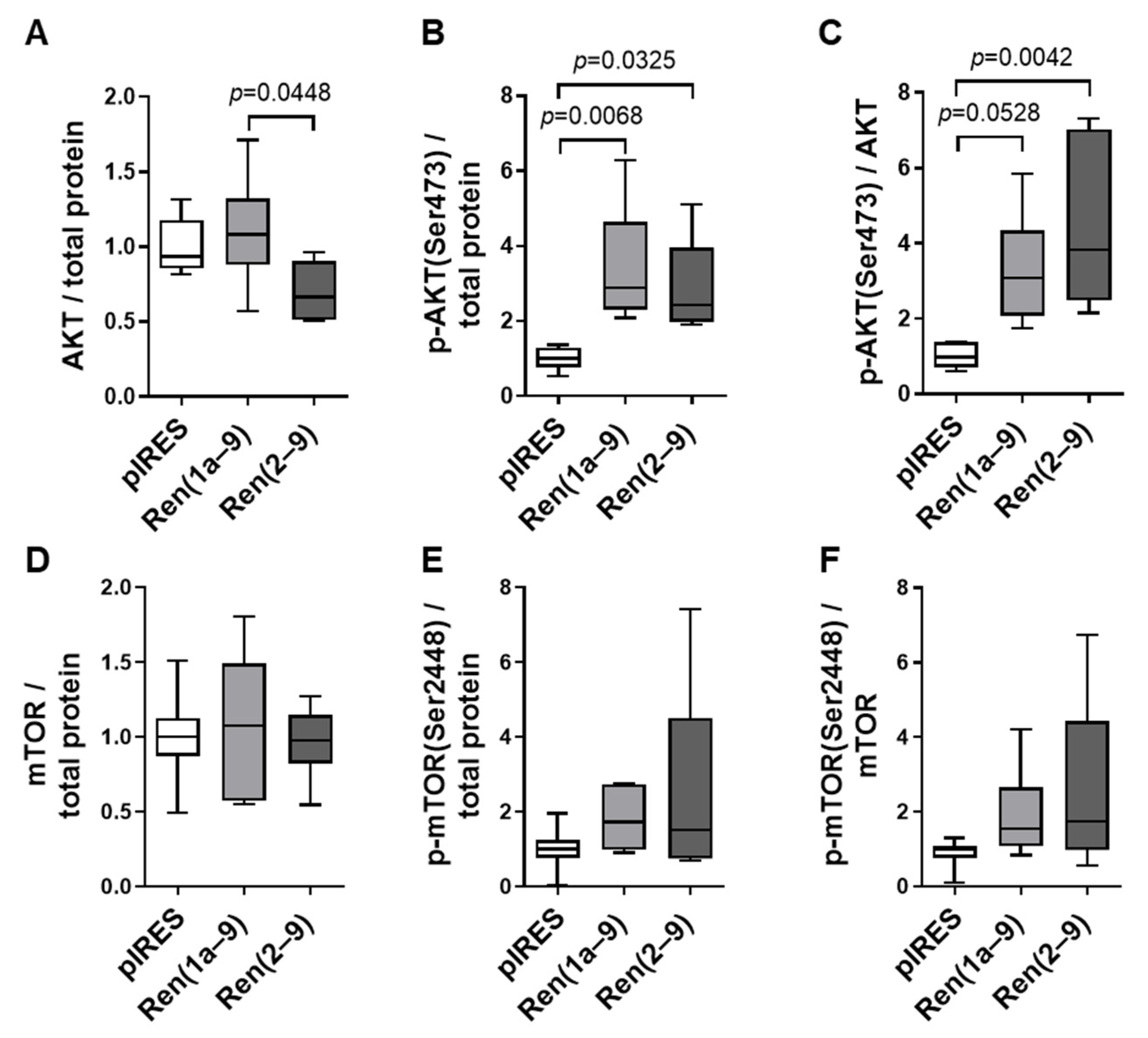Cells 11 01459 g007 Cells 11 01459 g007