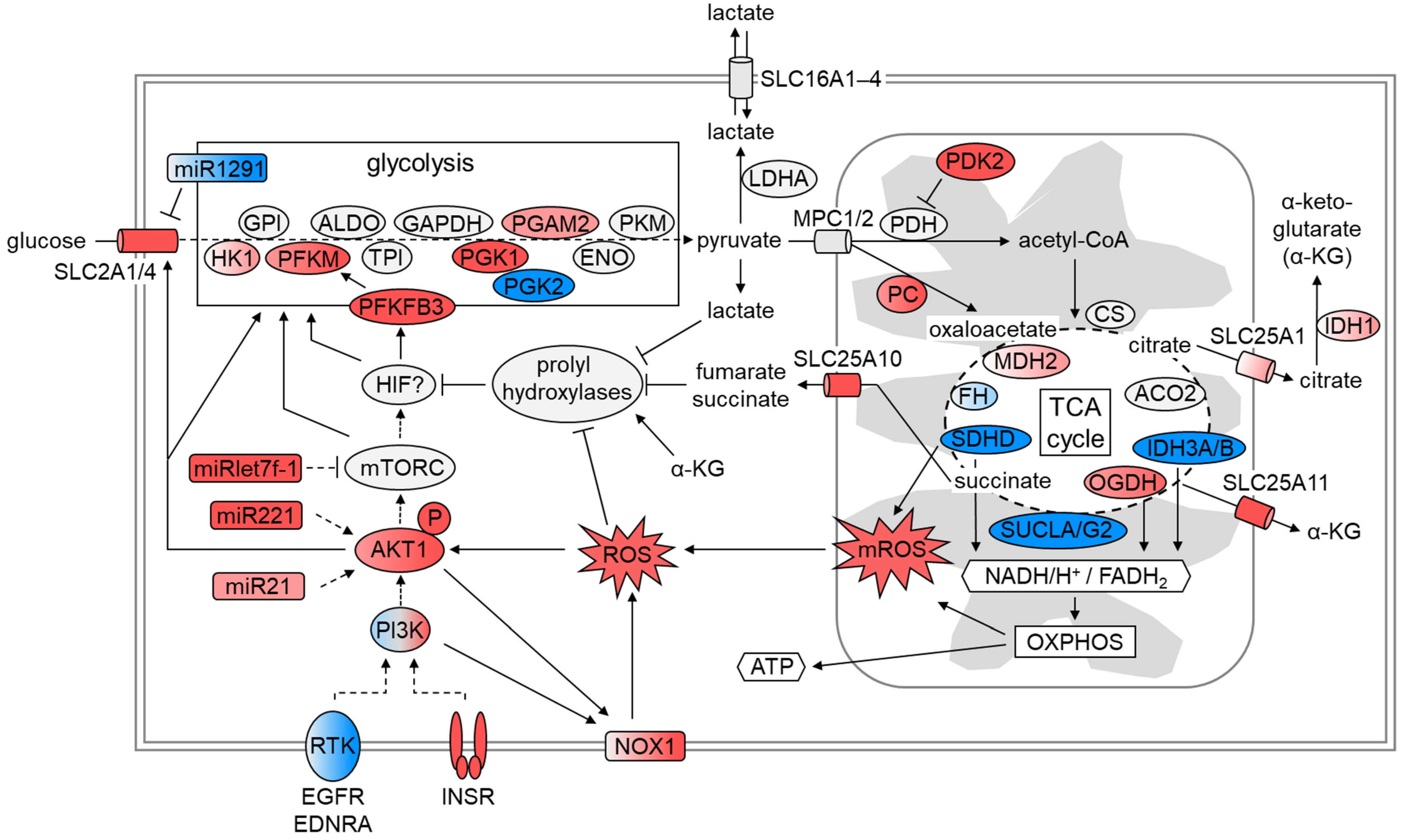Cells 11 01459 g009 Cells 11 01459 g009