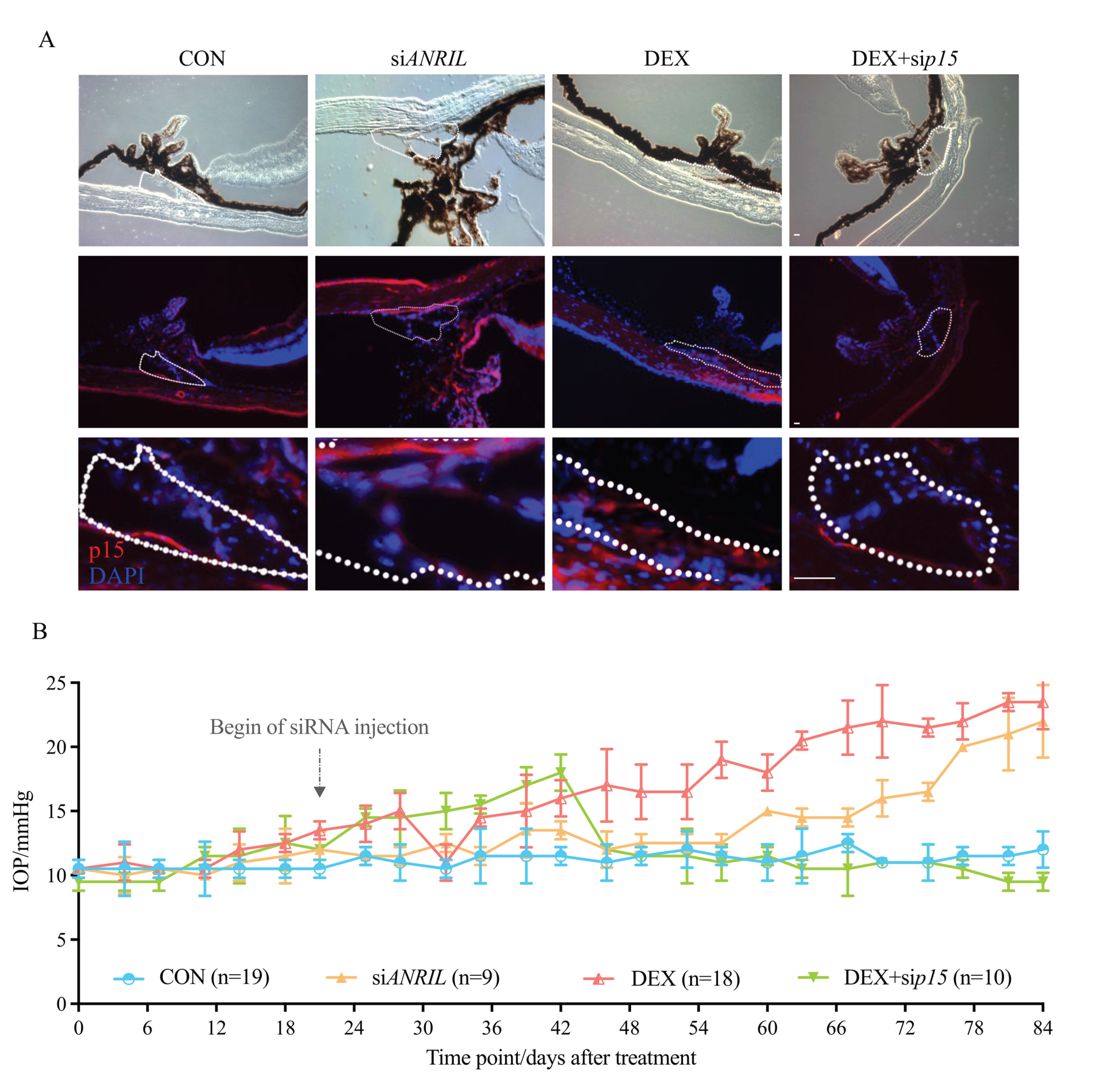 Cells 11 01468 g005 Cells 11 01468 g005