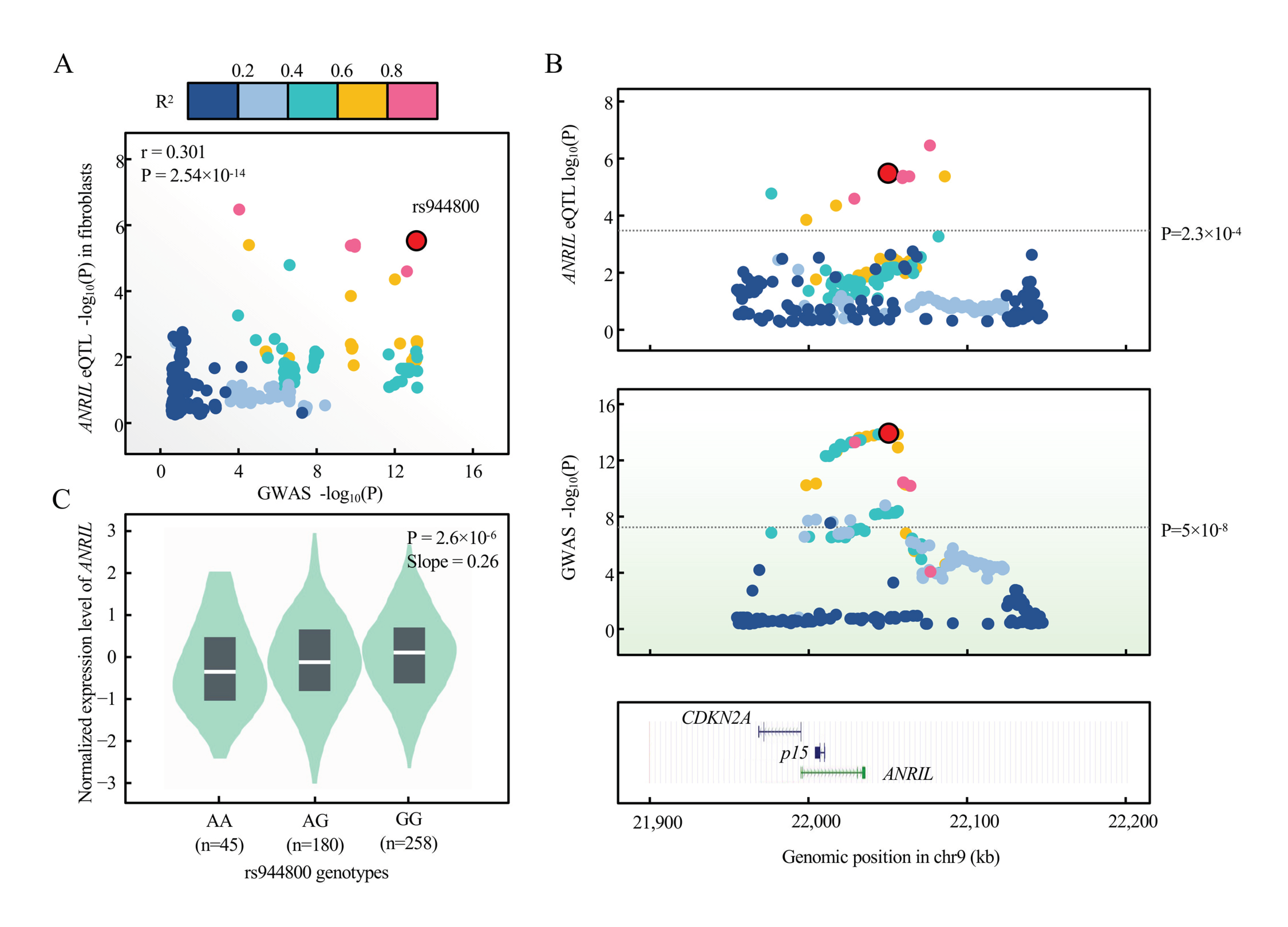 Cells 11 01468 g008 Cells 11 01468 g008