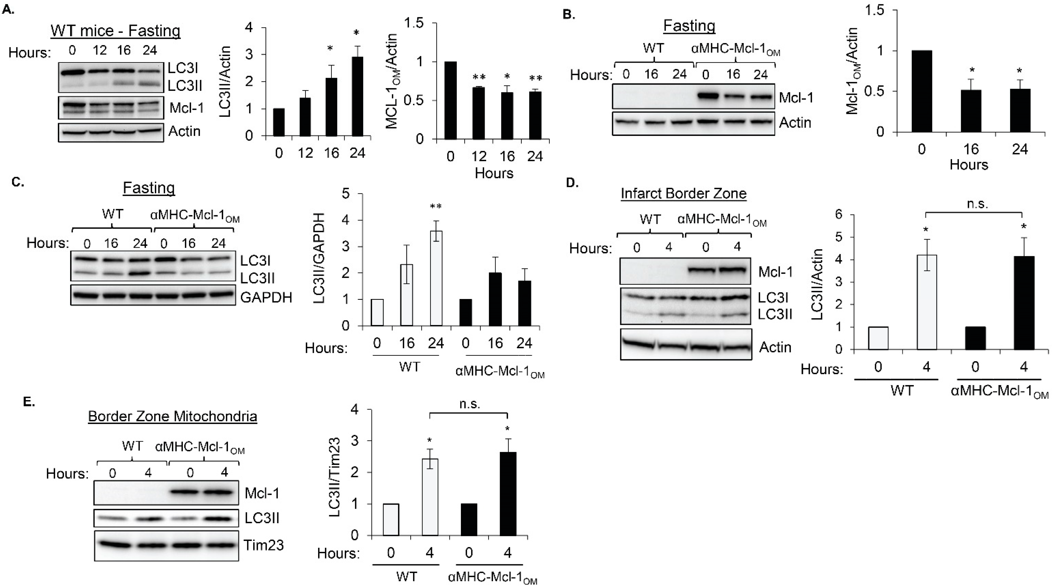 Cells 11 01469 g002 550