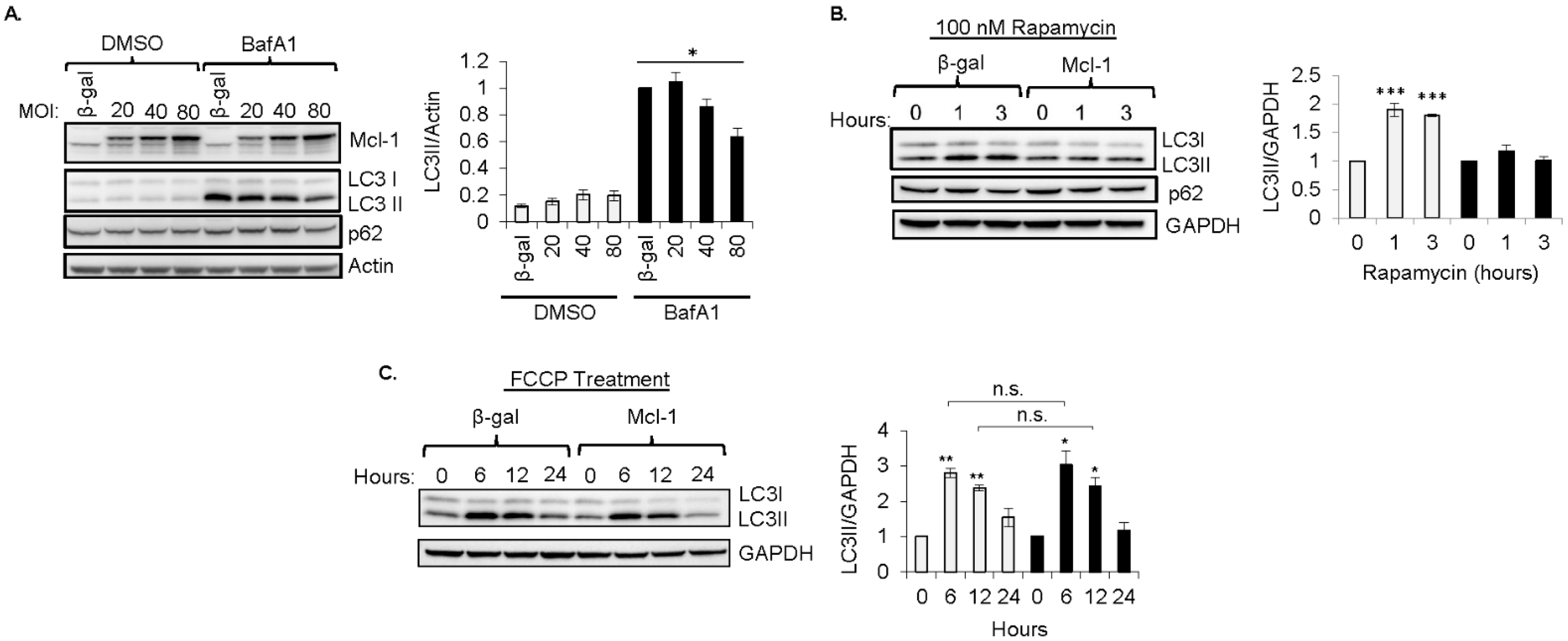 Cells 11 01469 g003 550