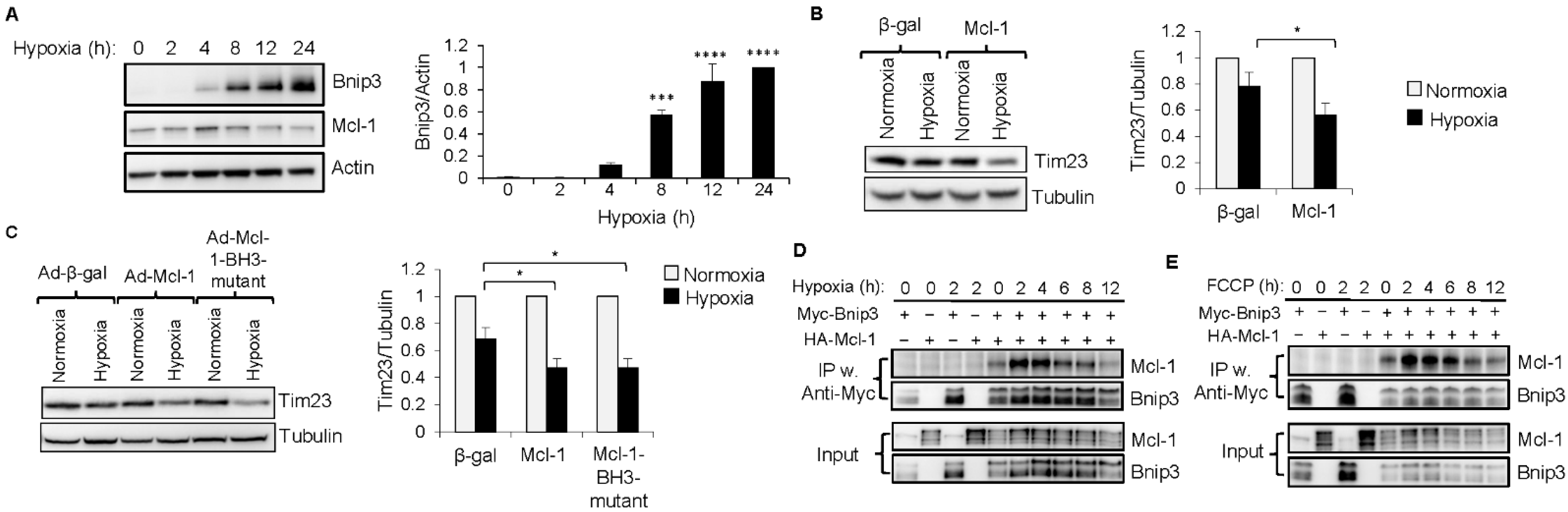 Cells 11 01469 g006 550
