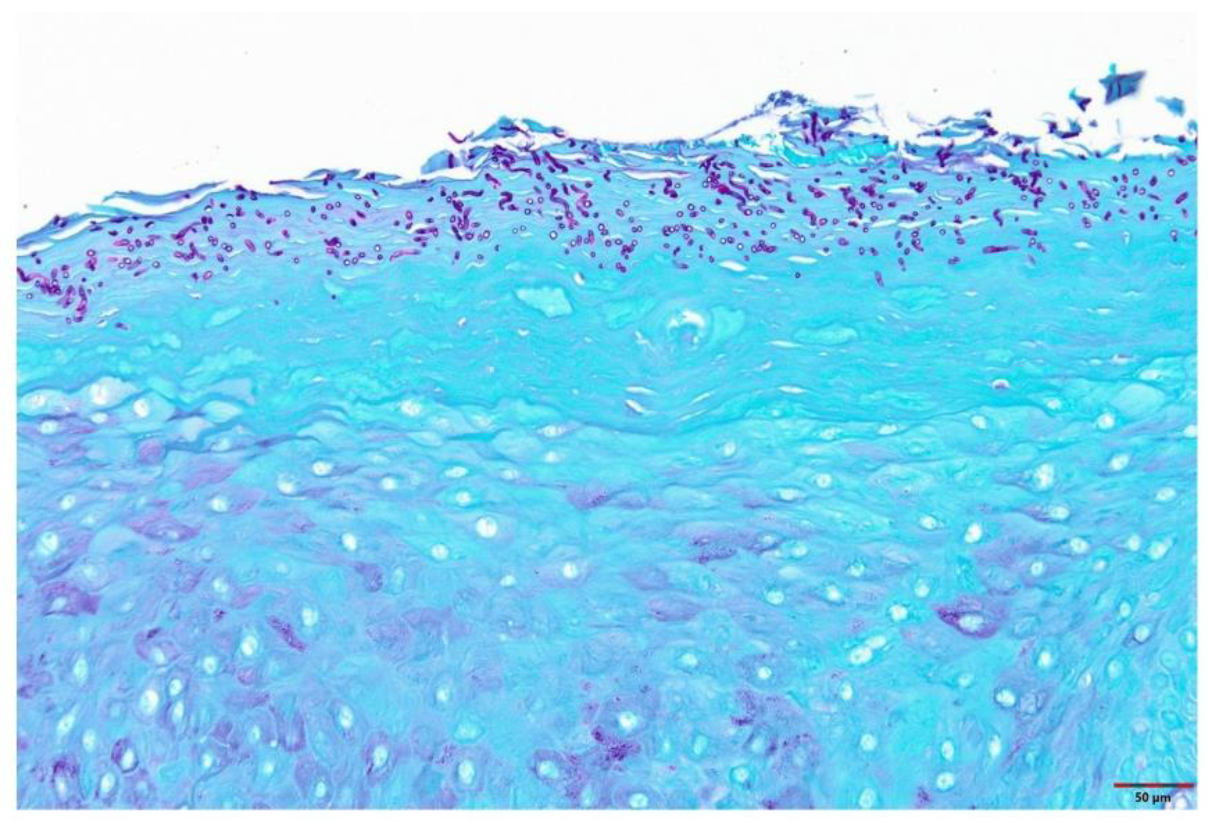 Cells 11 01470 g002 Cells 11 01470 g002