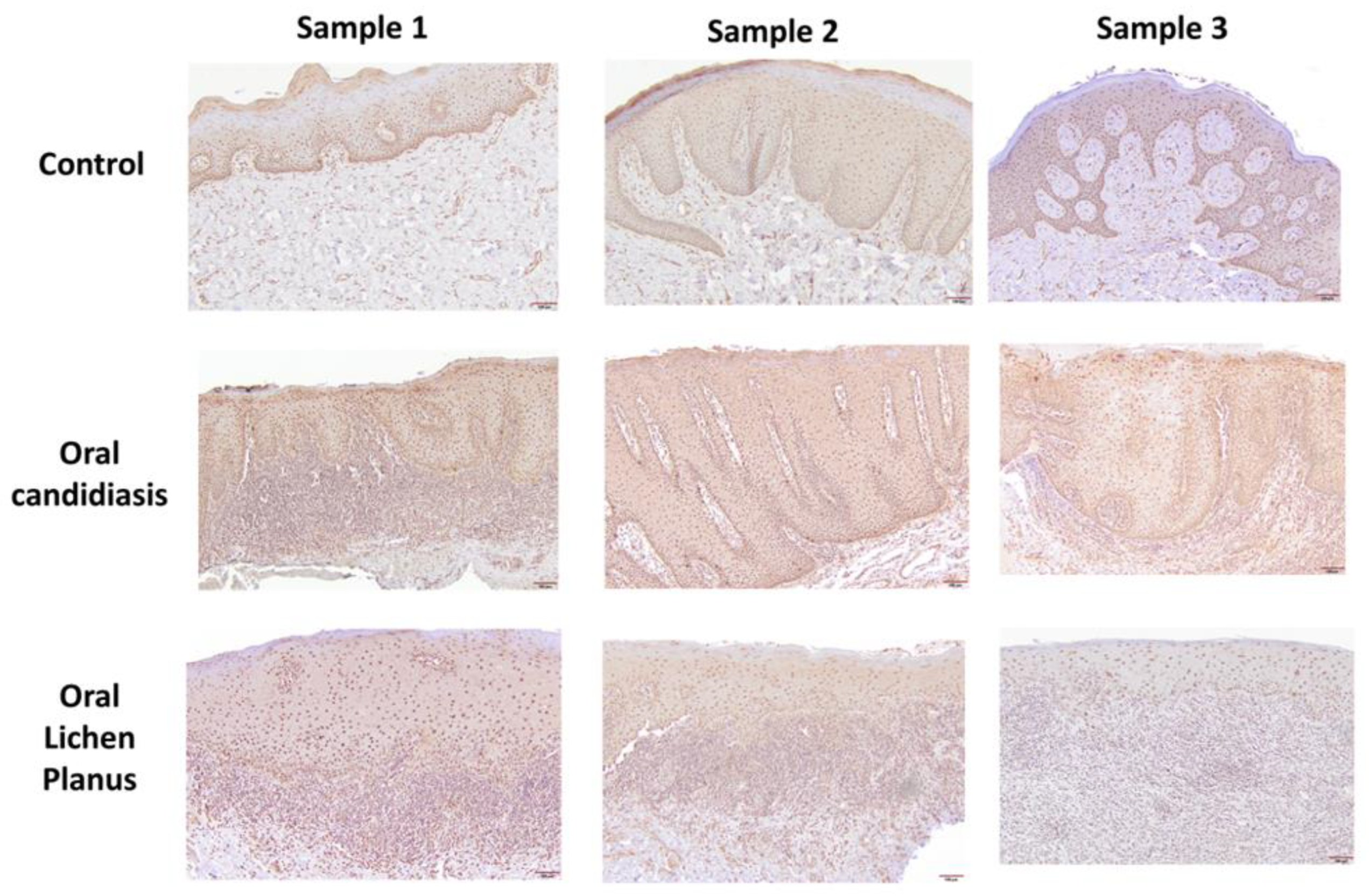 Cells 11 01470 g003 Cells 11 01470 g003