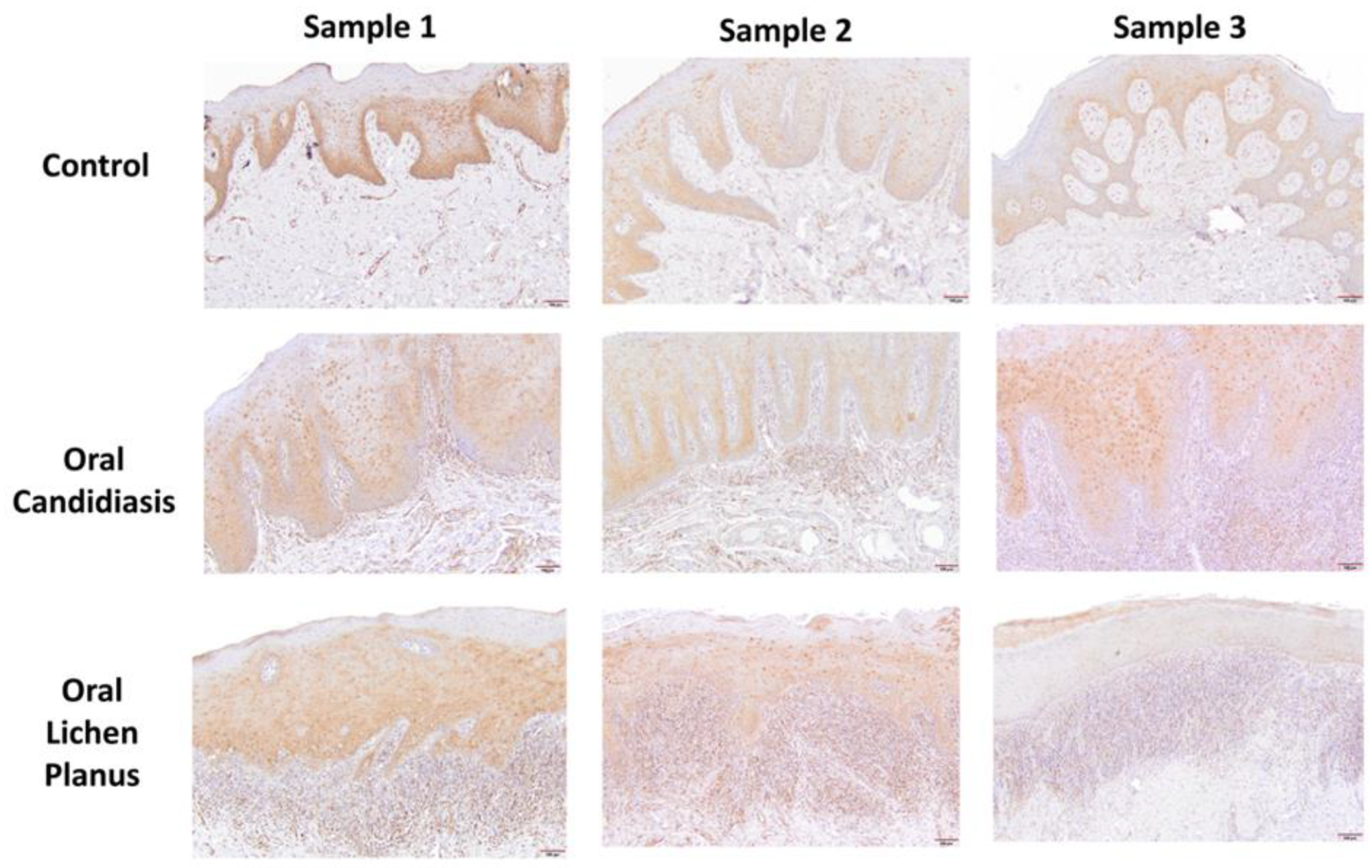 Cells 11 01470 g004 Cells 11 01470 g004