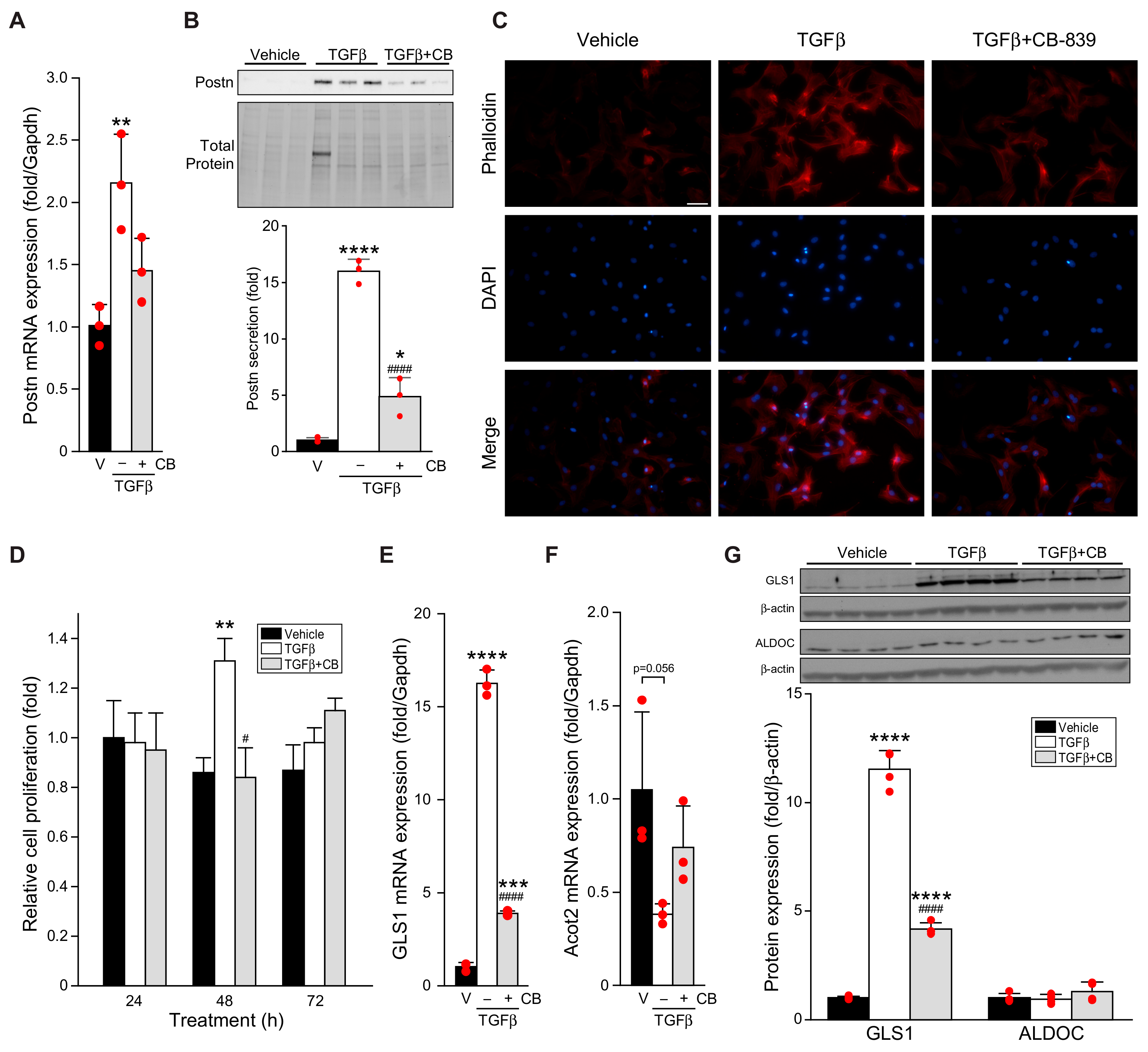 Cells 11 01471 g001 550