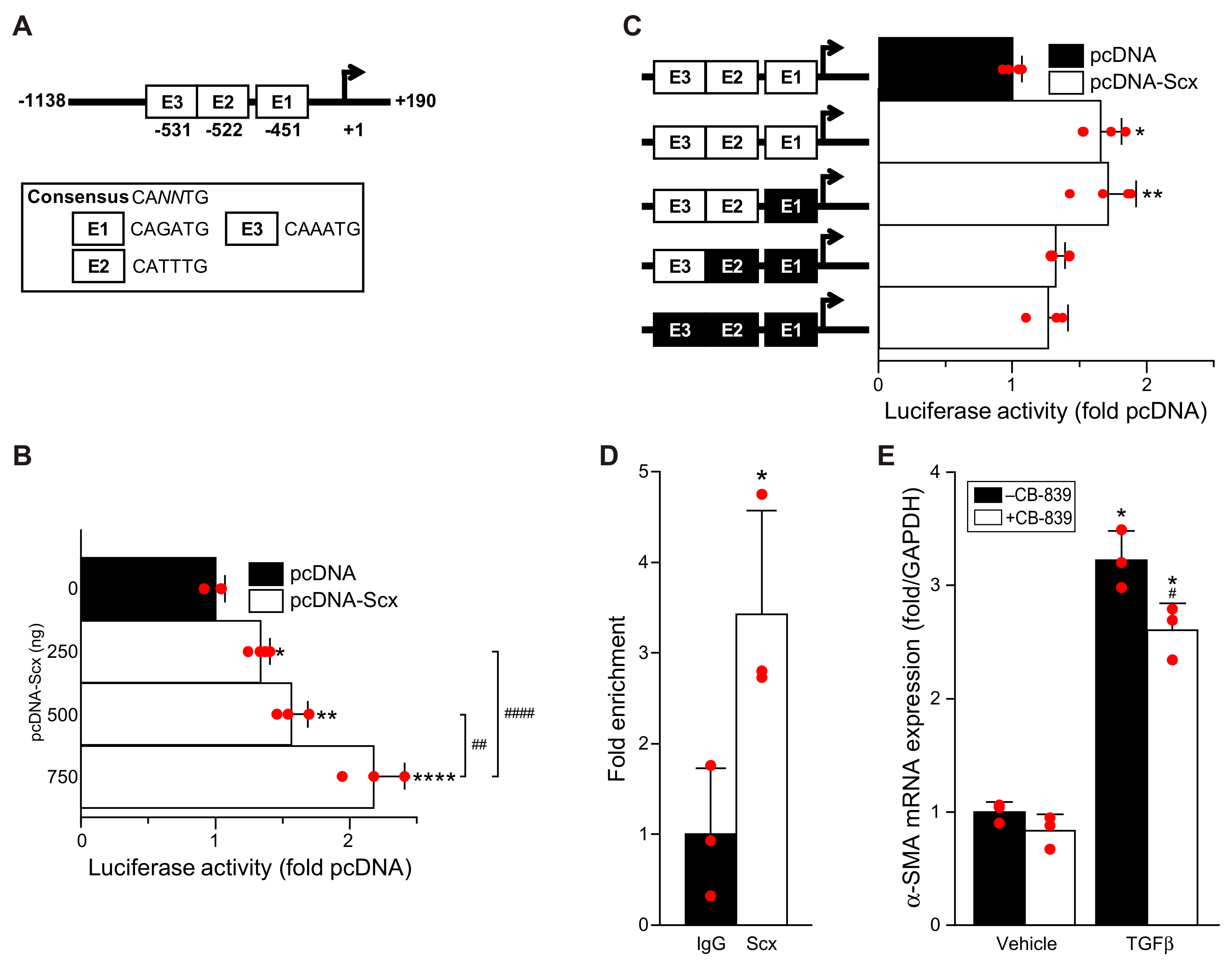 Cells 11 01471 g005 550