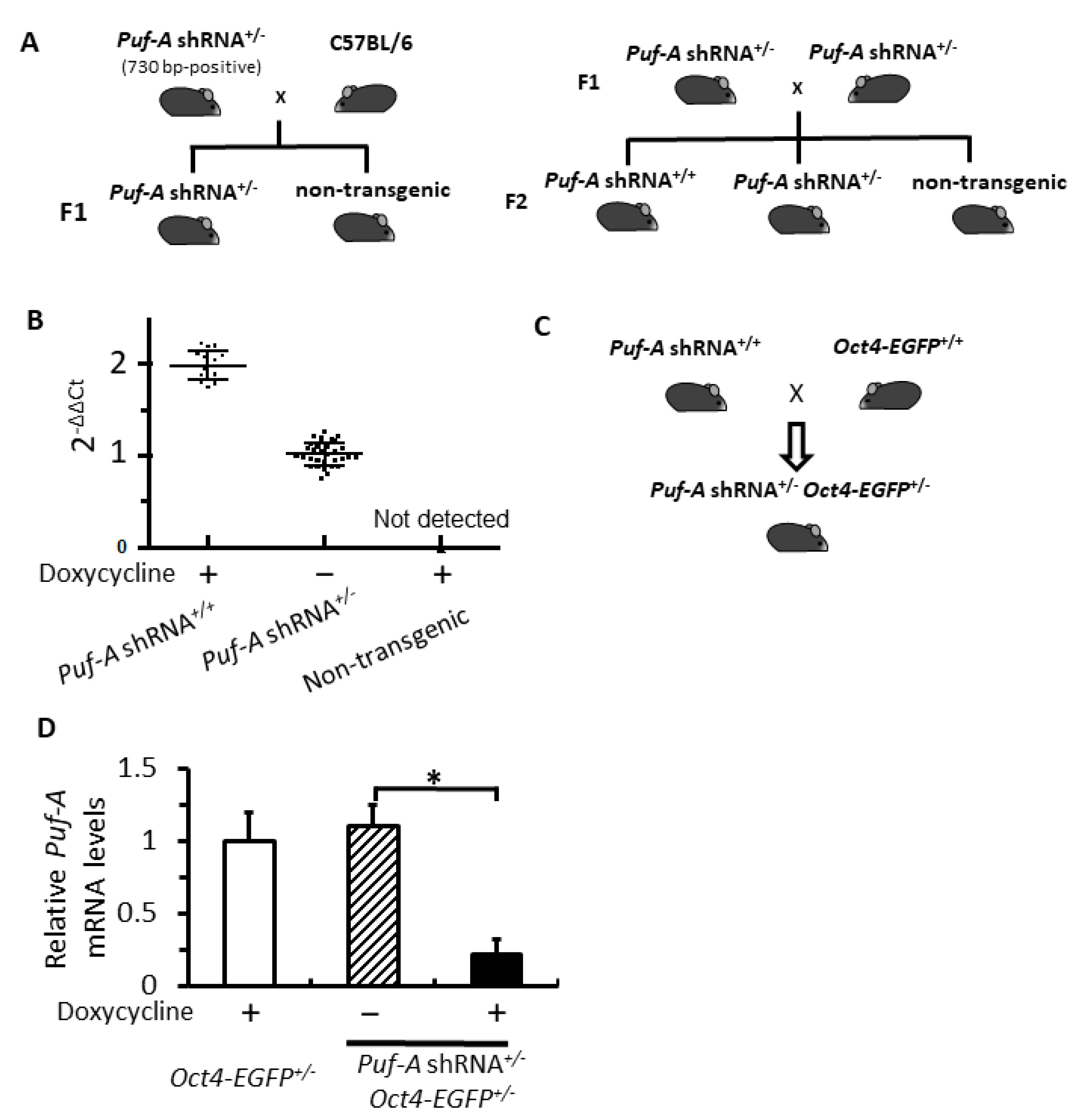 Cells 11 01476 g002 Cells 11 01476 g002