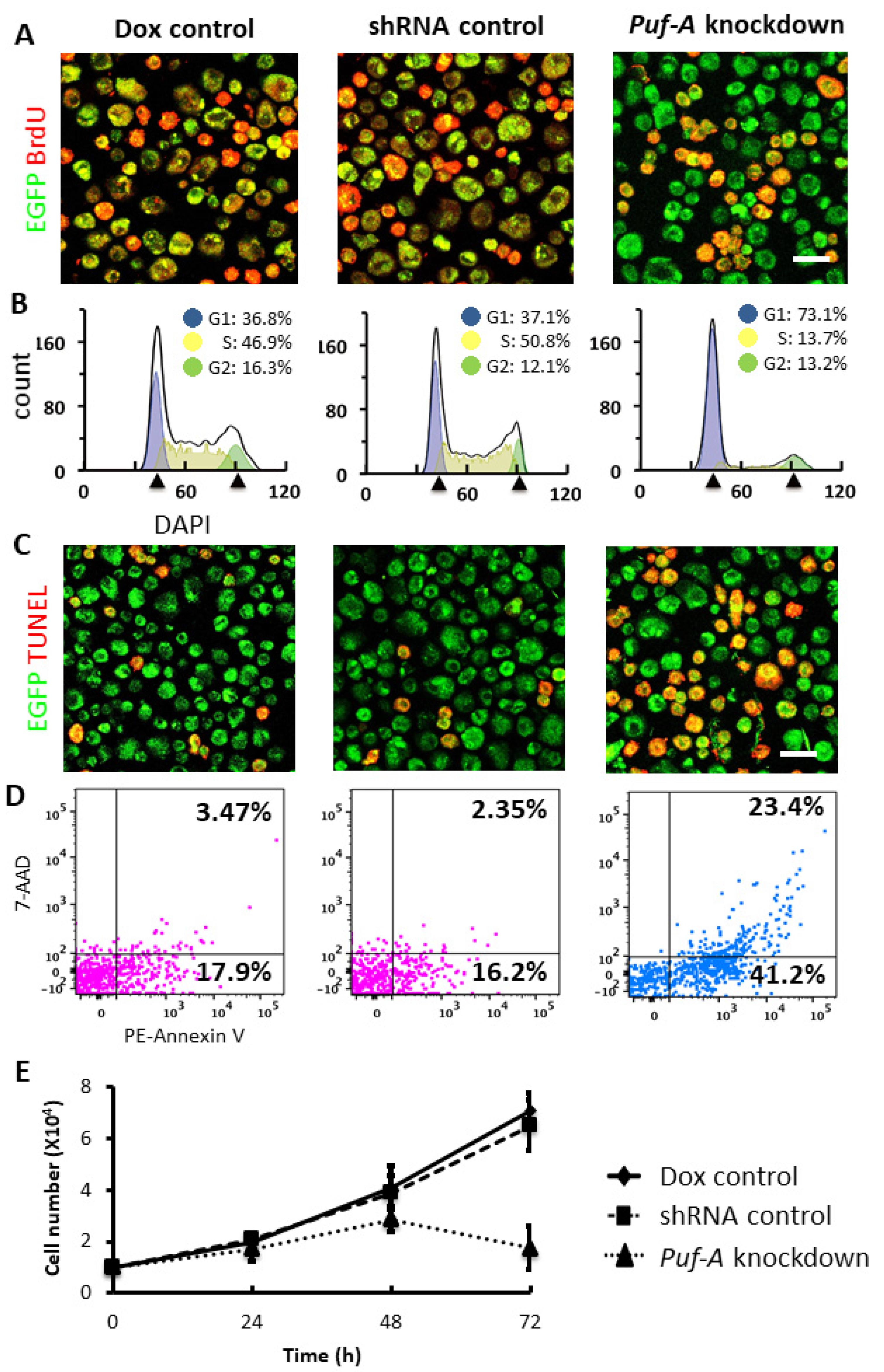 Cells 11 01476 g006 Cells 11 01476 g006