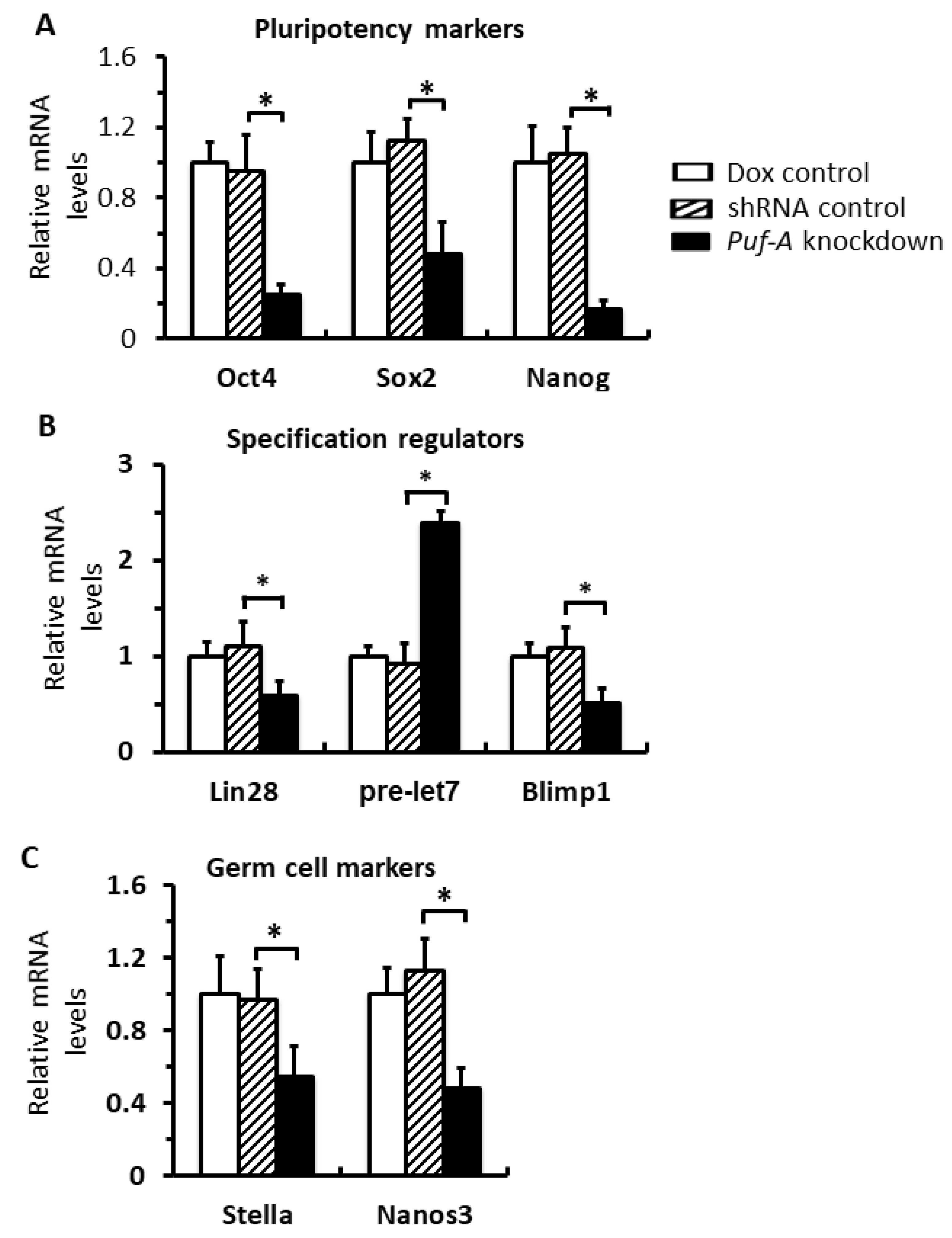Cells 11 01476 g007 Cells 11 01476 g007