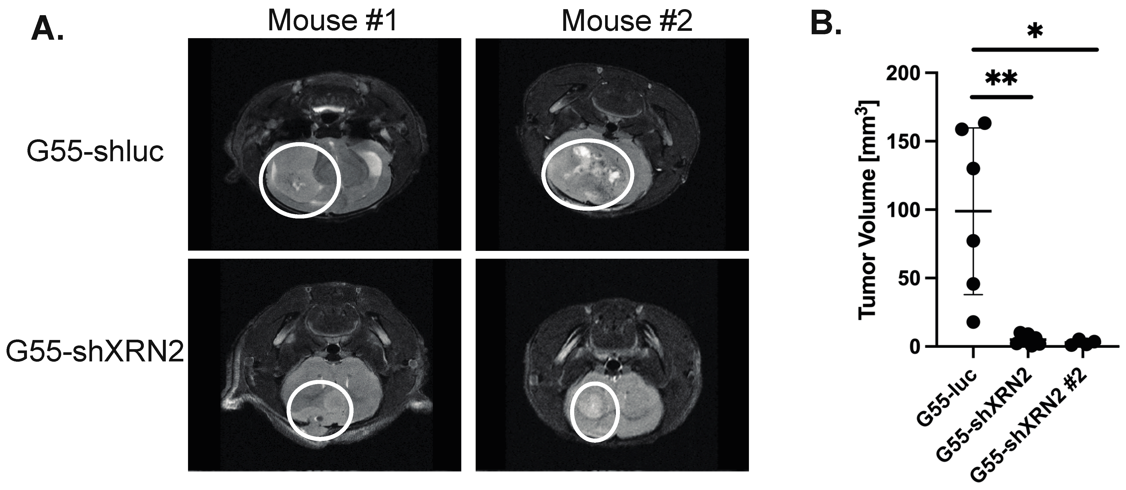 Cells 11 01481 g004 550