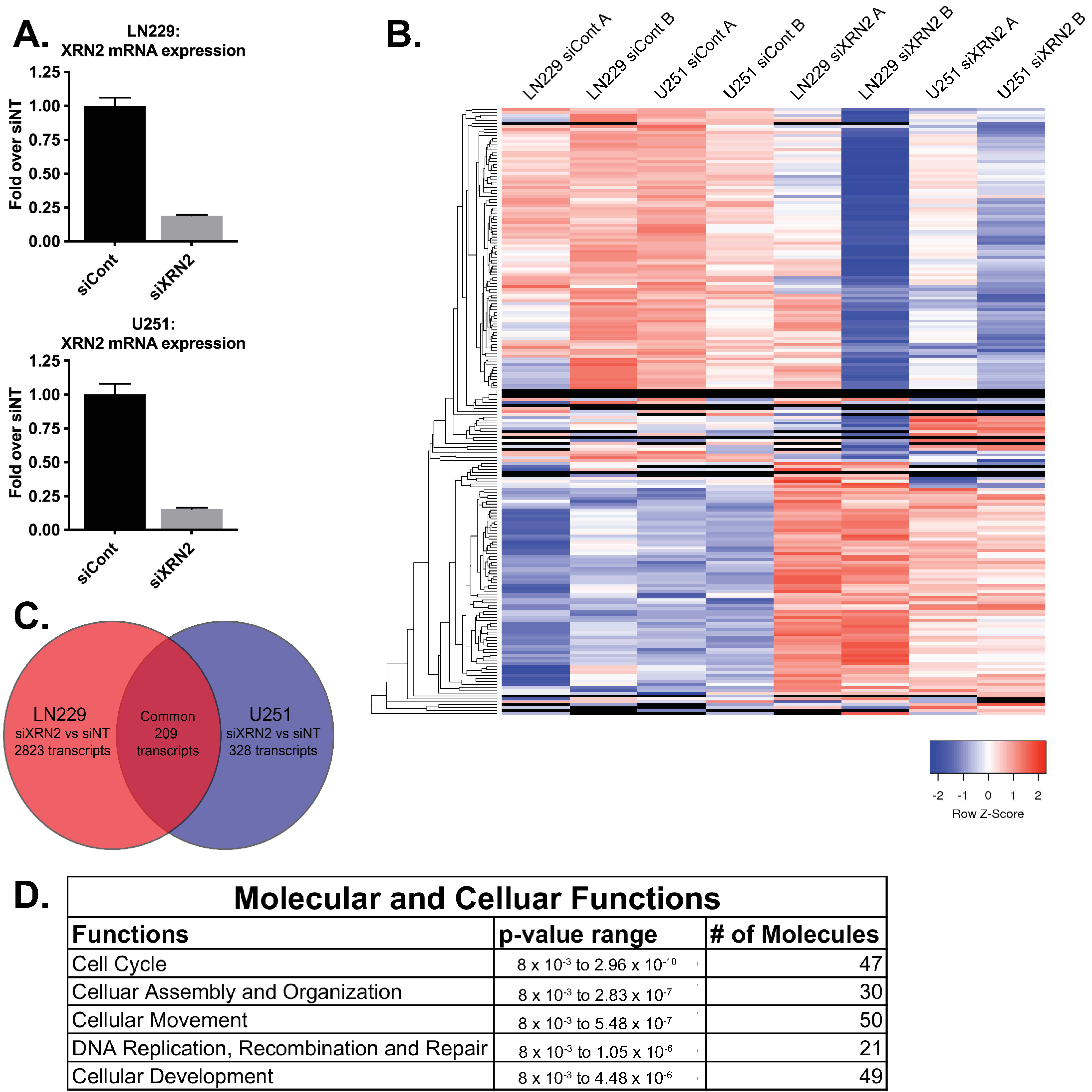 Cells 11 01481 g005 550