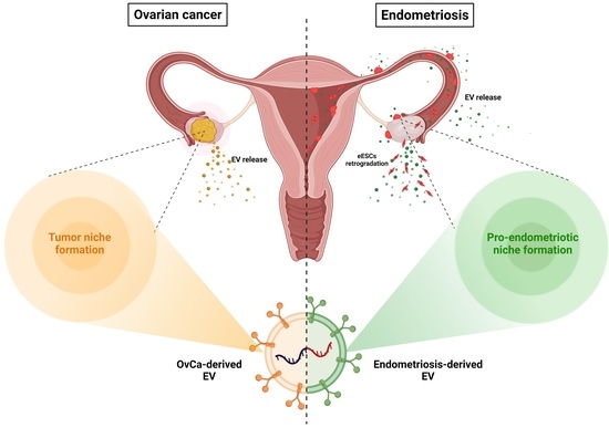 hpv és interstitialis cystitis)