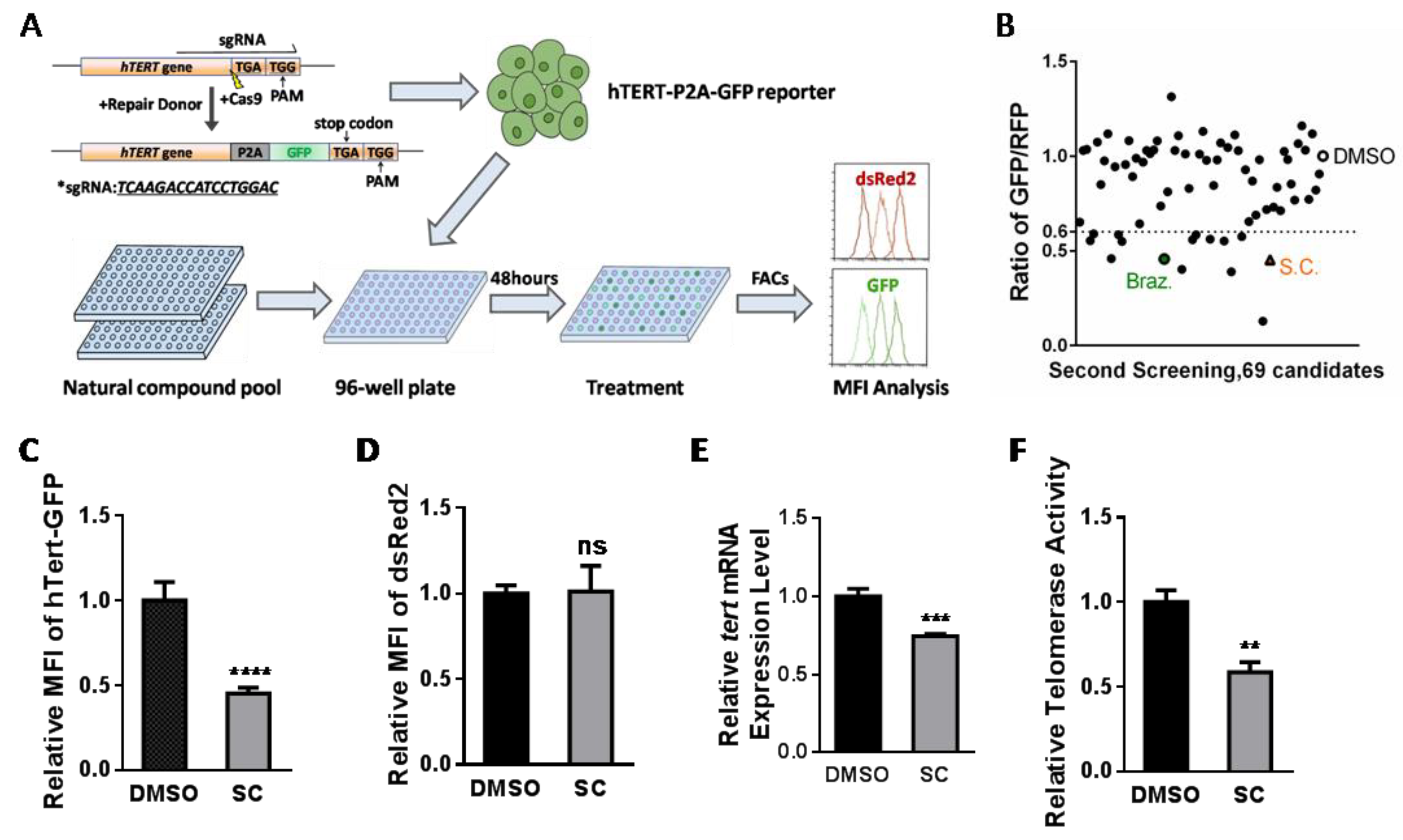 Cells 11 01485 g001 550