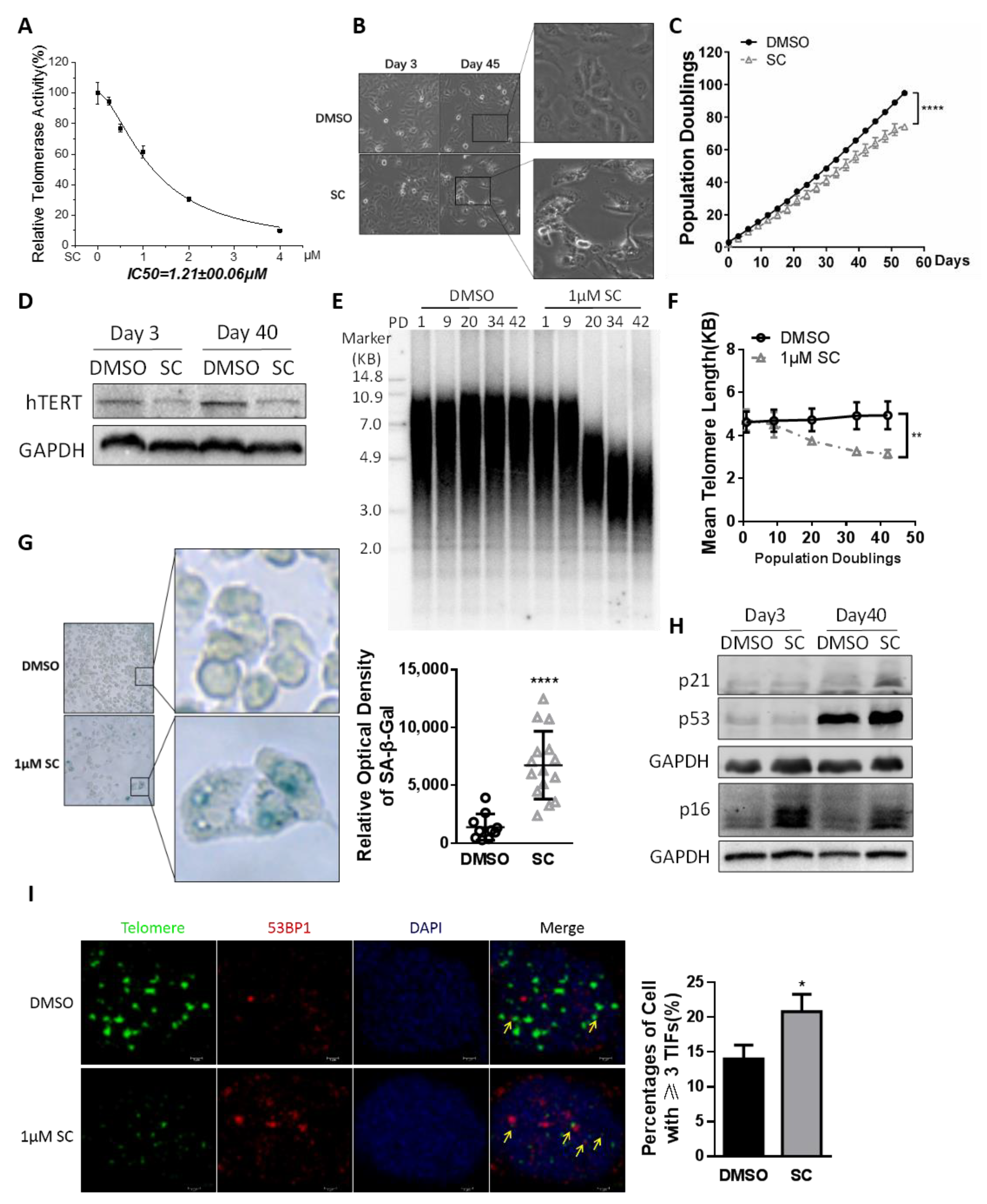 Cells 11 01485 g003 550