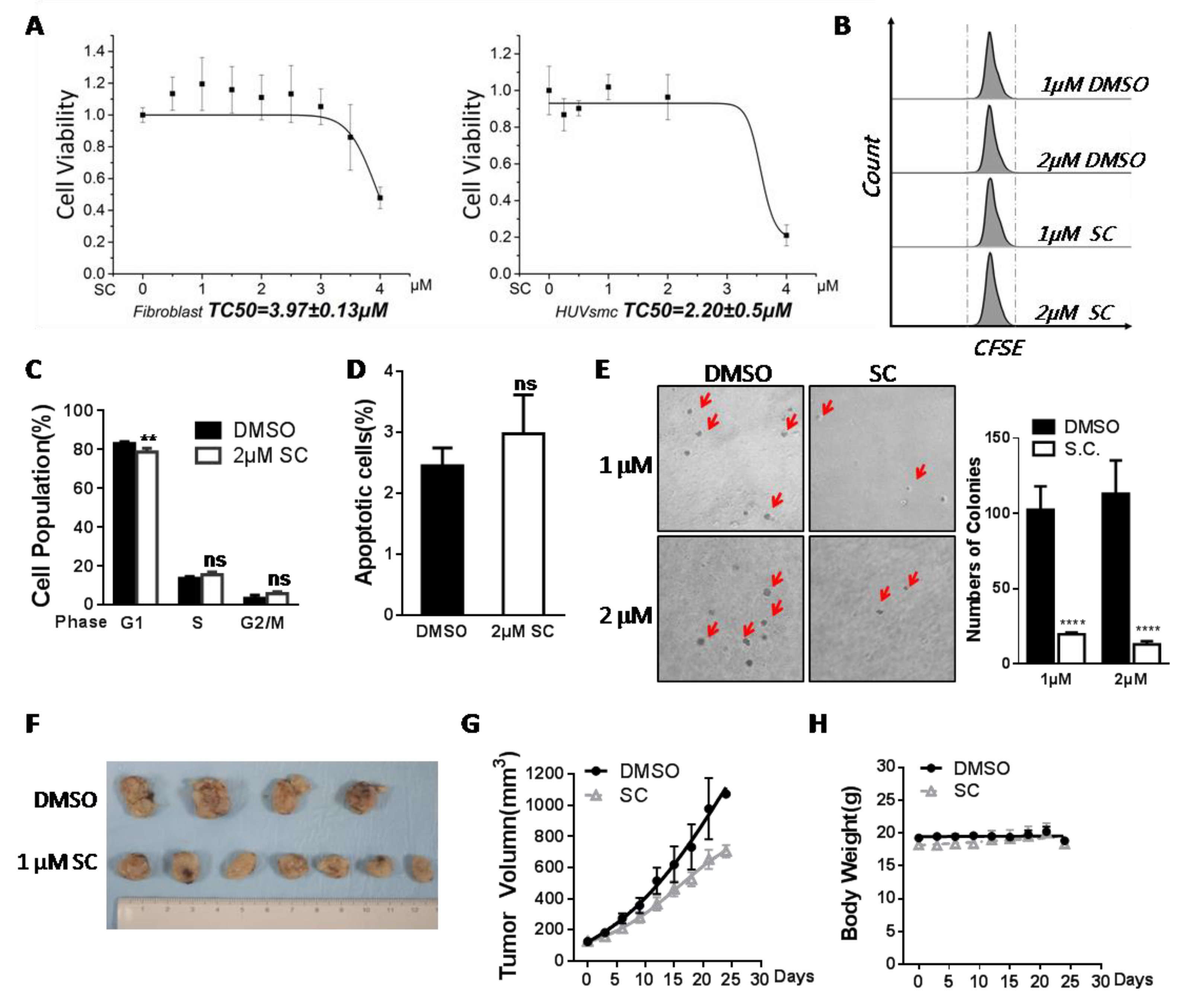 Cells 11 01485 g006 550