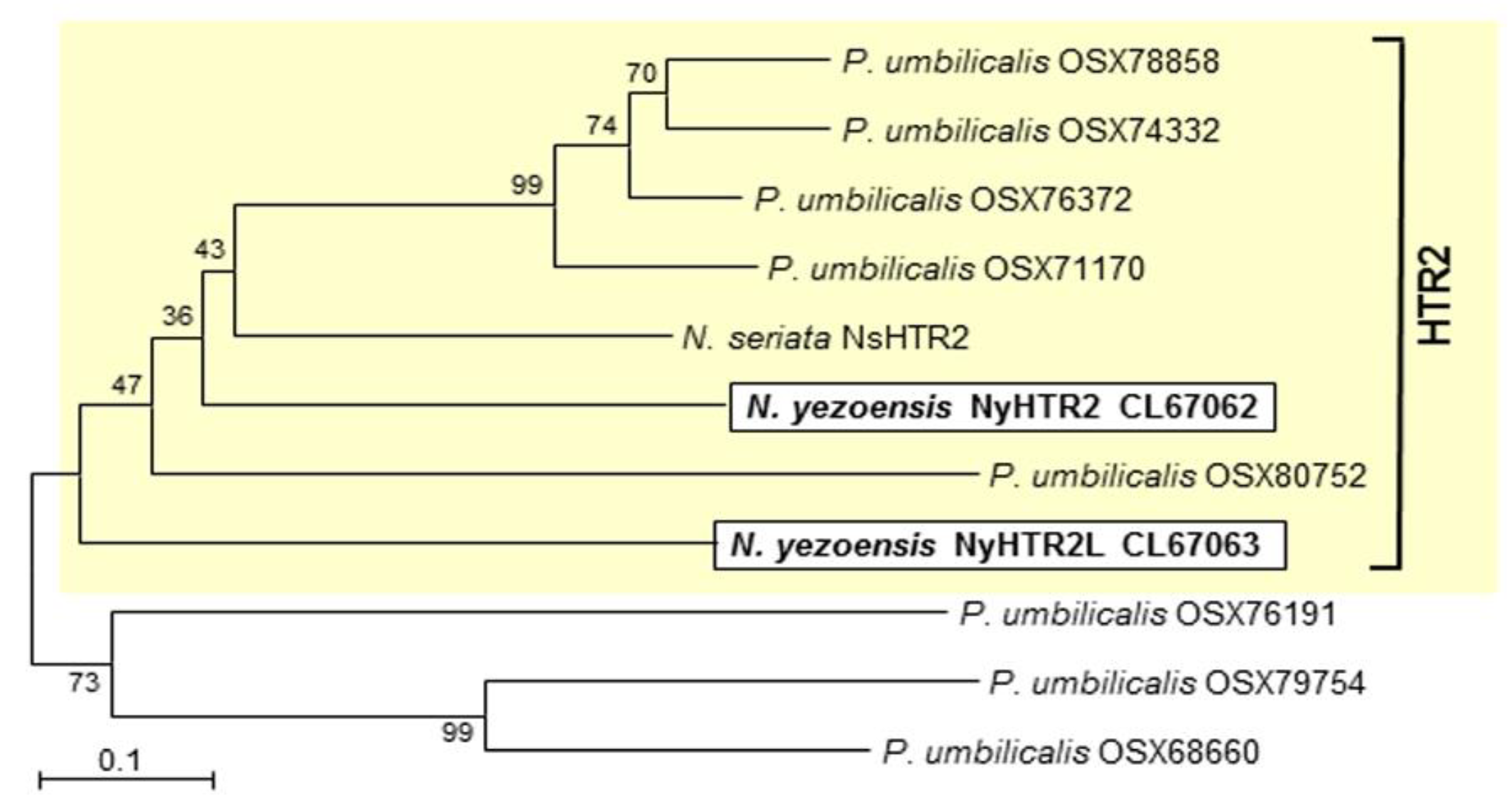 Cells 11 01486 g001 Cells 11 01486 g001