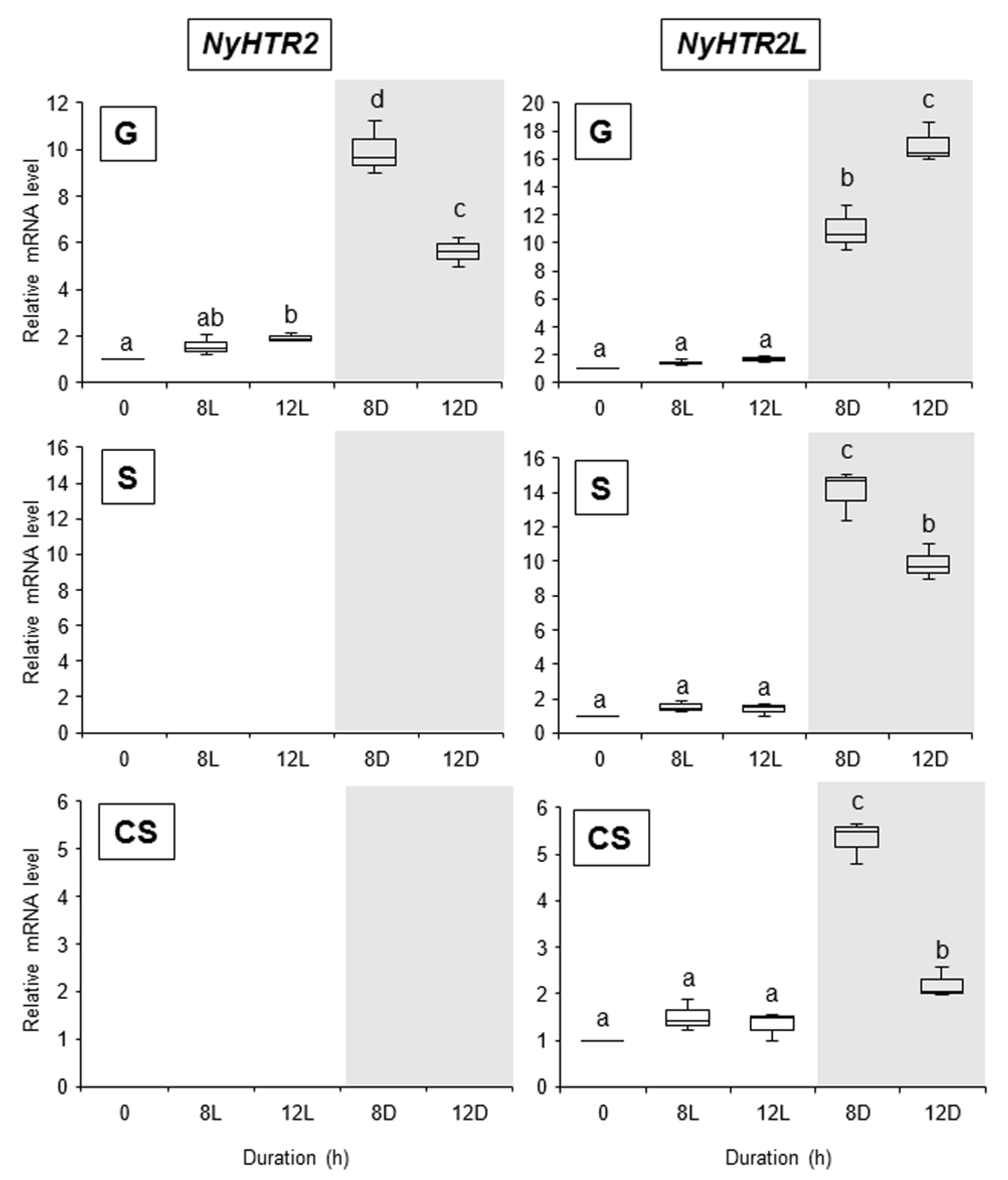 Cells 11 01486 g003 Cells 11 01486 g003