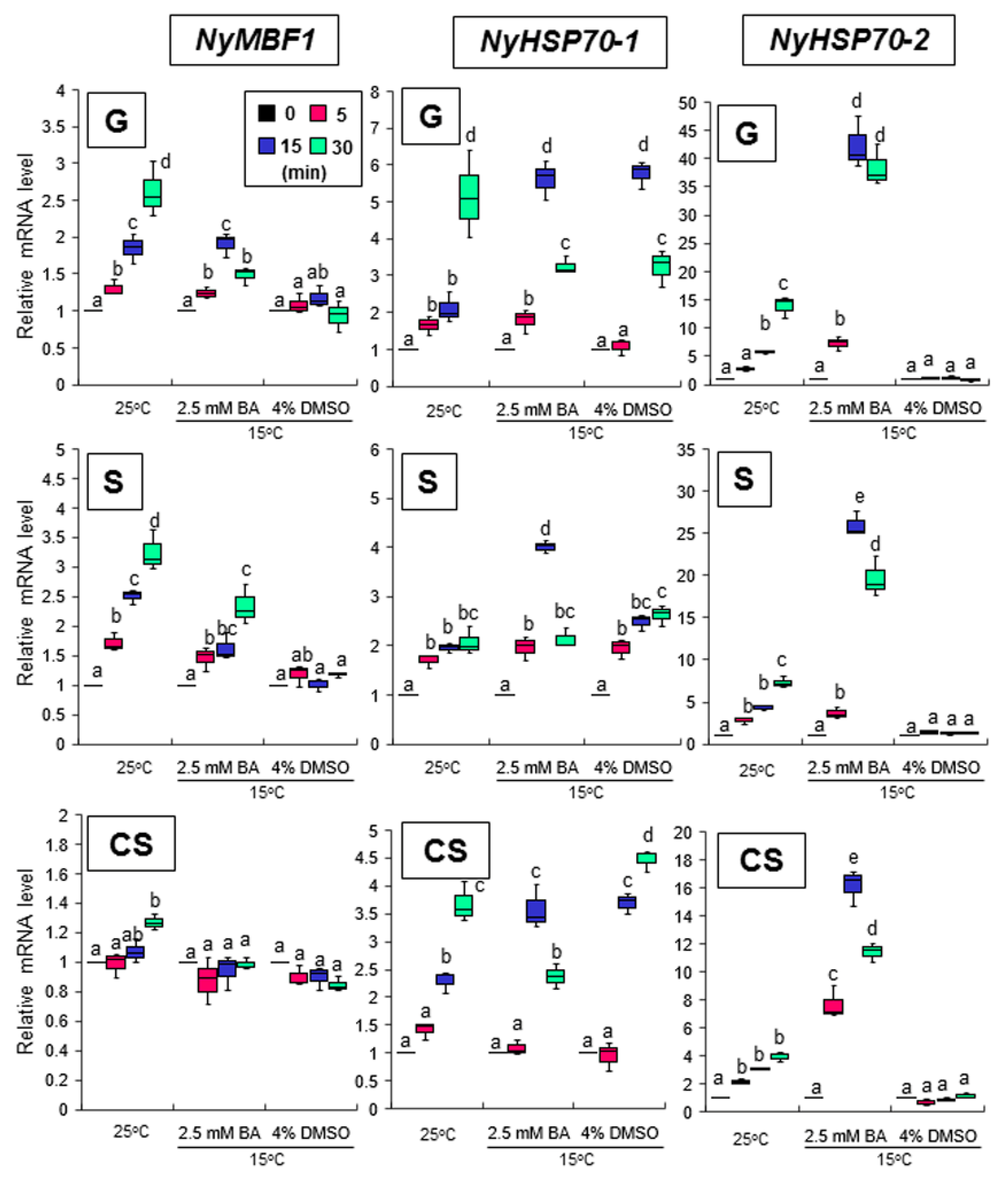 Cells 11 01486 g006 Cells 11 01486 g006
