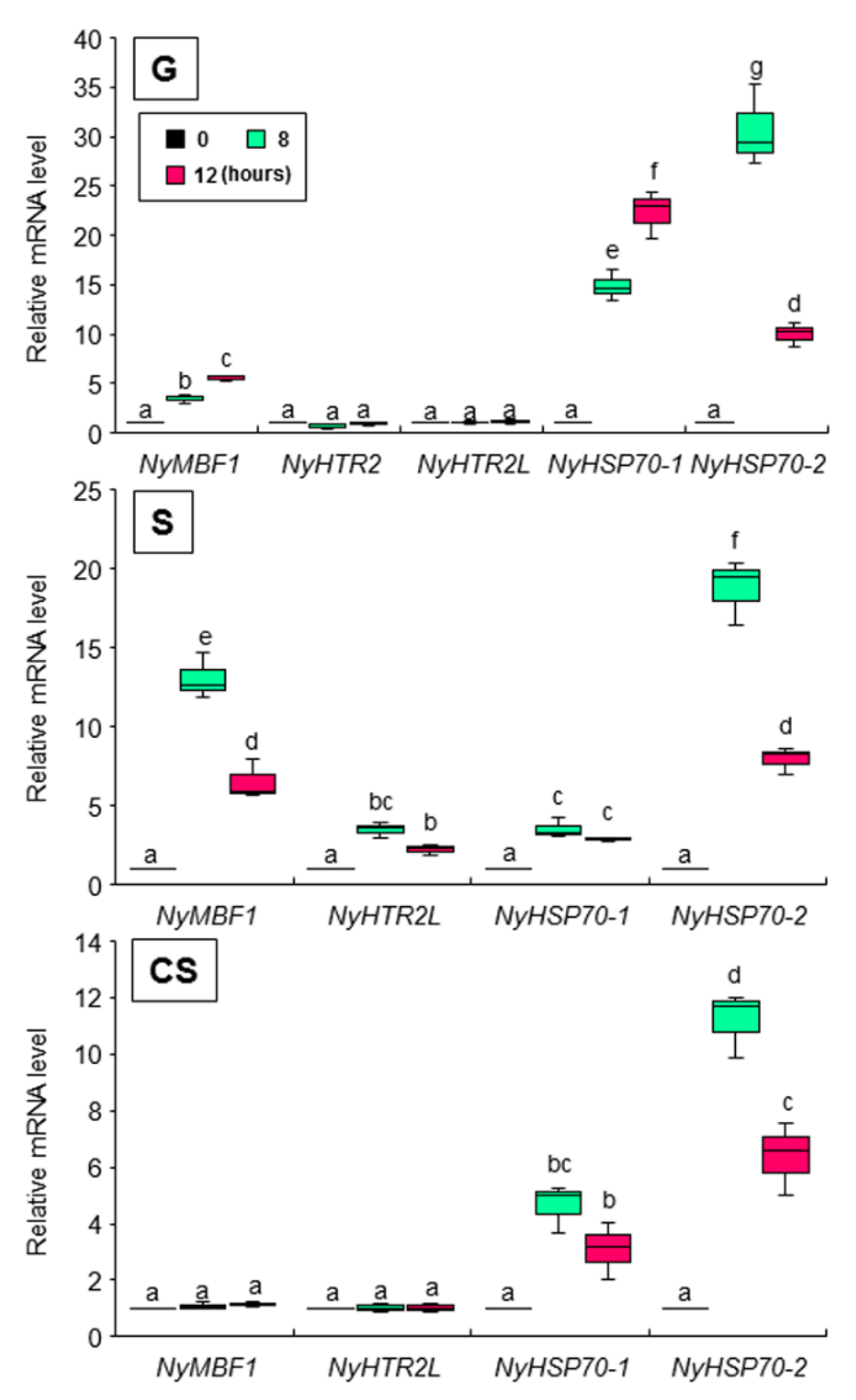 Cells 11 01486 g007 Cells 11 01486 g007