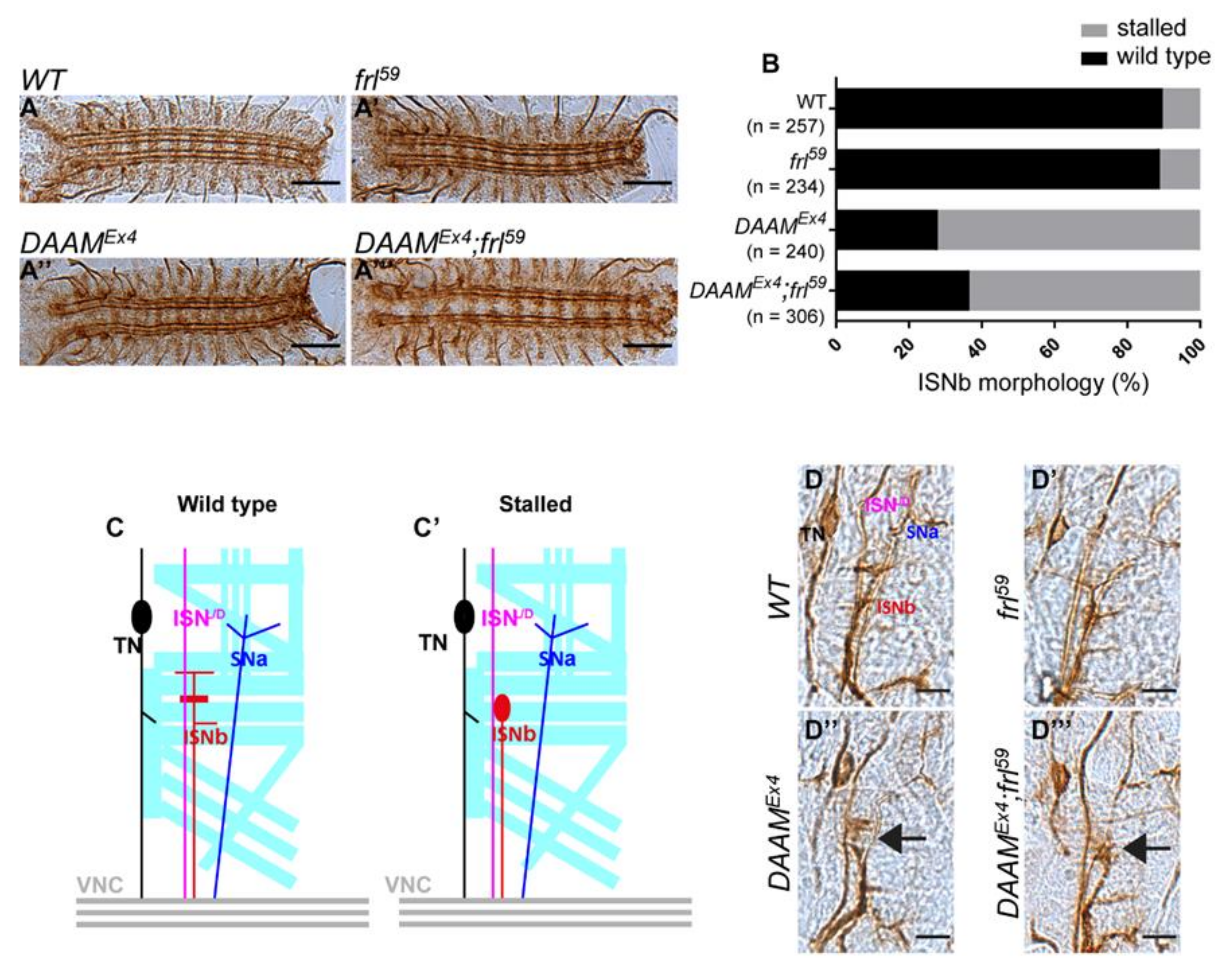 Cells 11 01487 g001 Cells 11 01487 g001