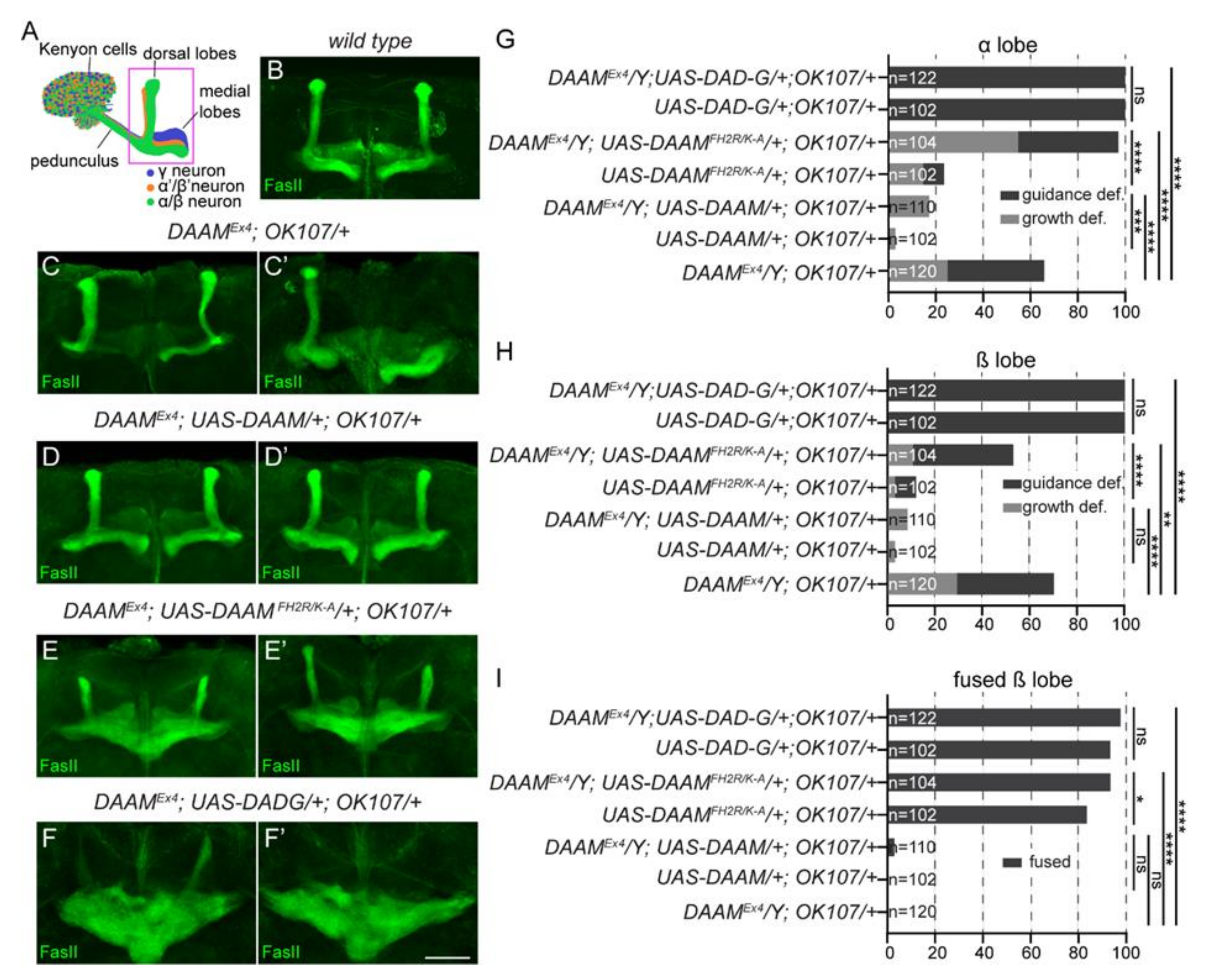 Cells 11 01487 g007 Cells 11 01487 g007