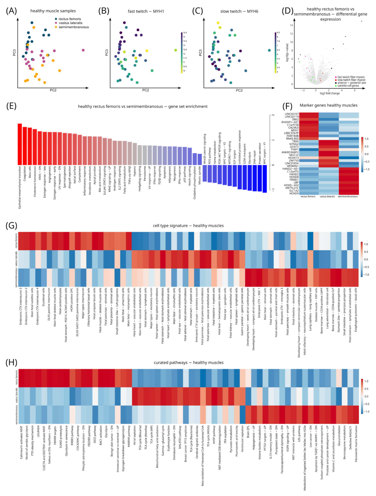 Cells 11 01508 g004 550