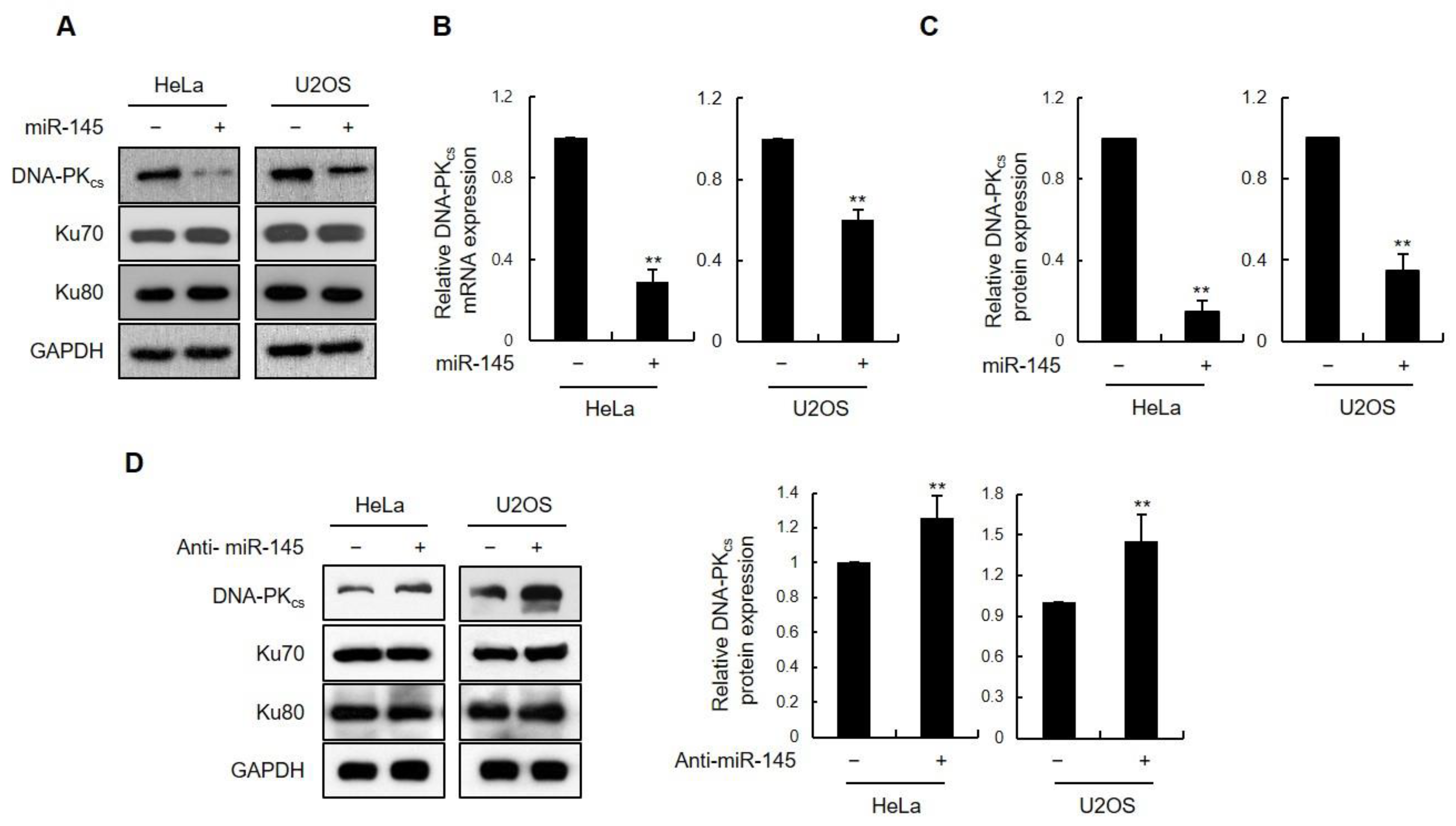 Cells 11 01509 g001 Cells 11 01509 g001