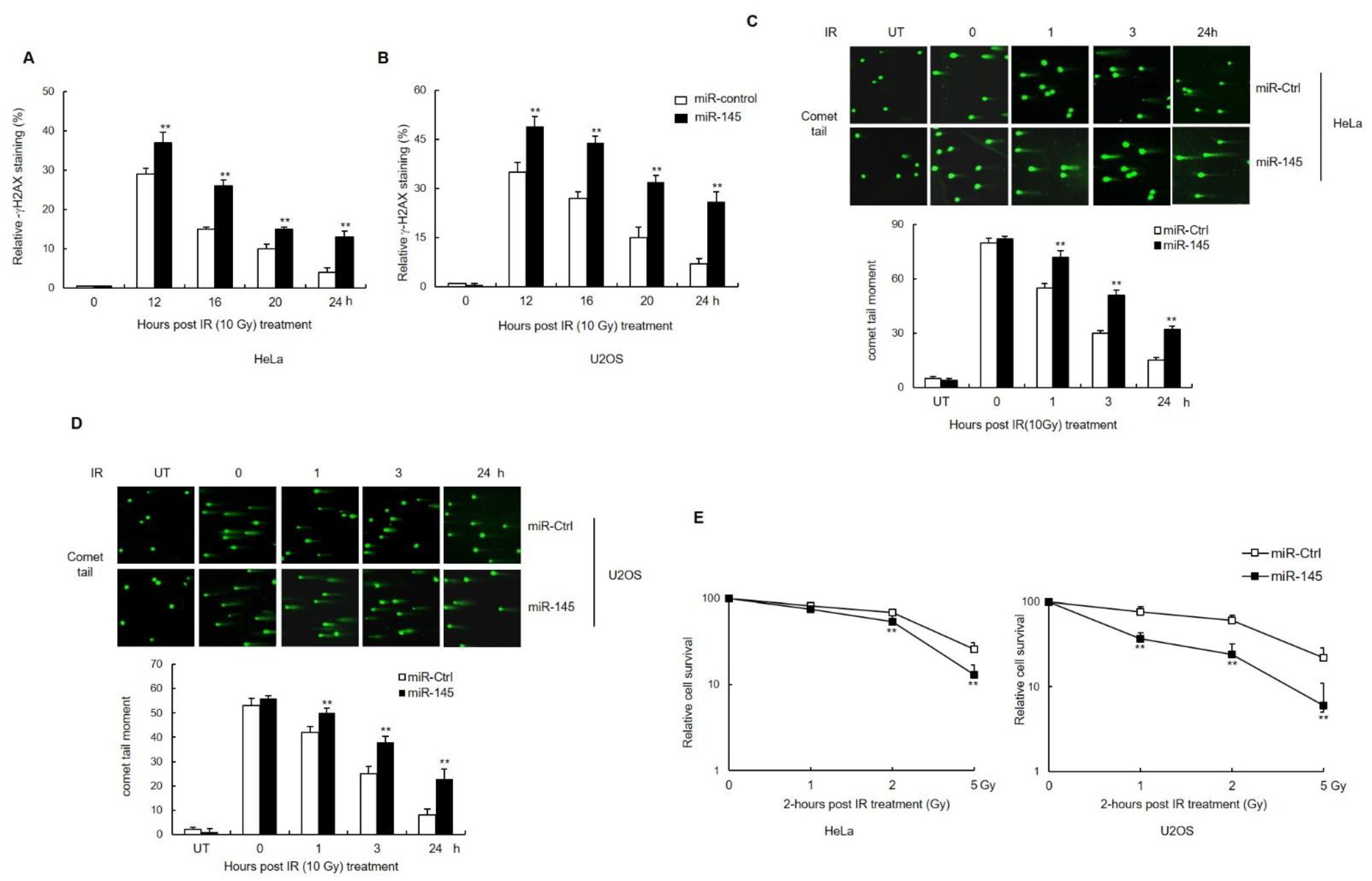 Cells 11 01509 g003 Cells 11 01509 g003