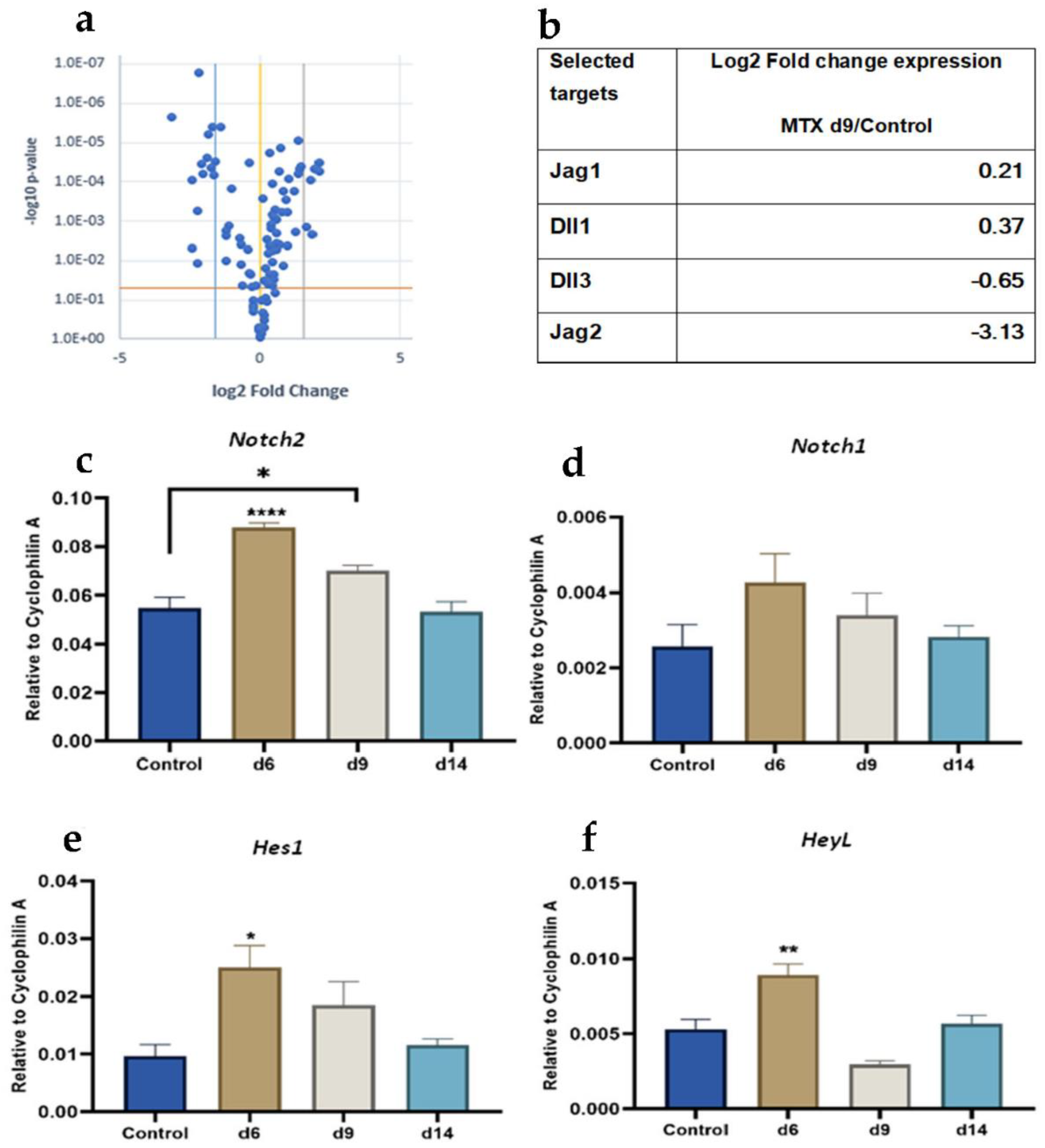 Cells 11 01521 g001 Cells 11 01521 g001
