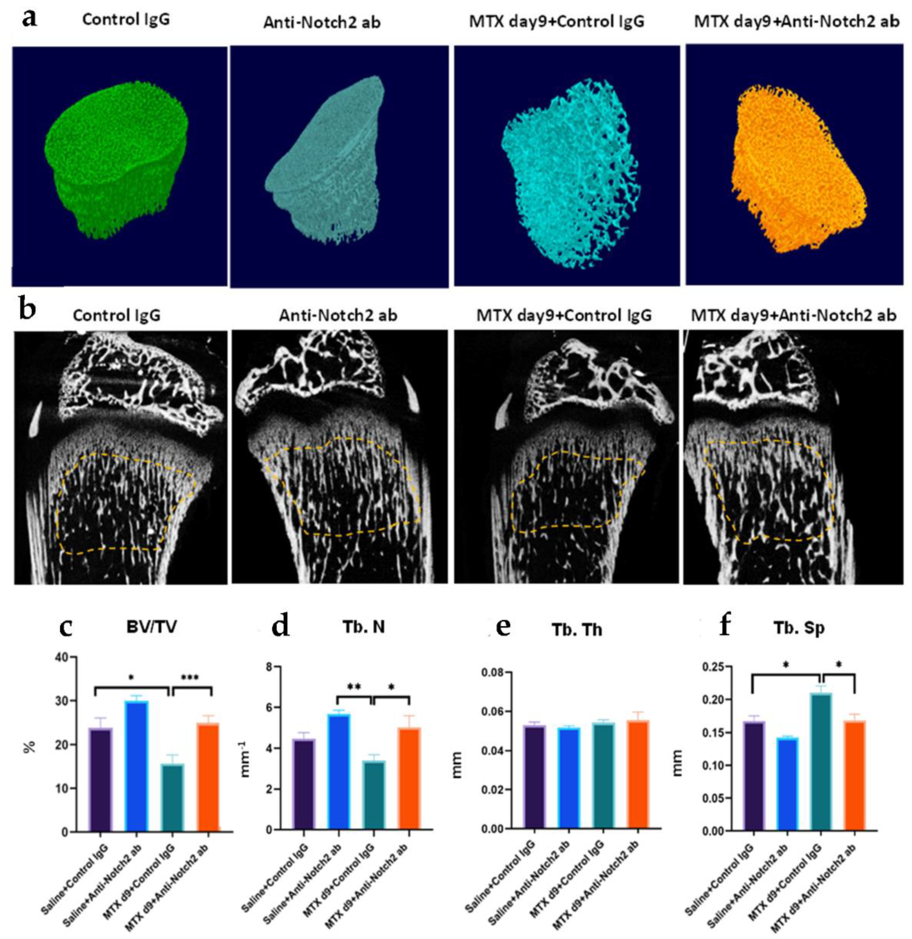 Cells 11 01521 g003 Cells 11 01521 g003