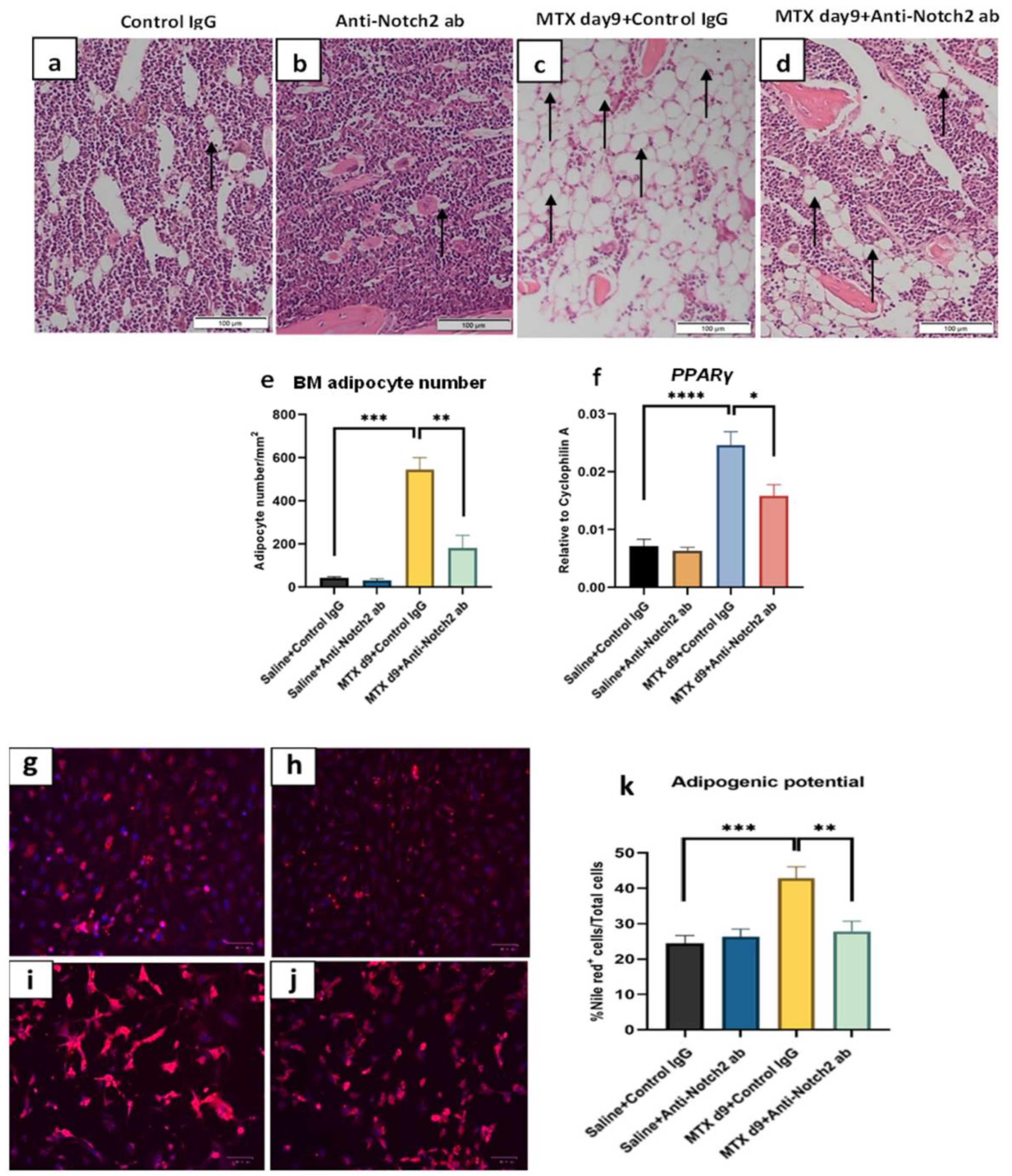 Cells 11 01521 g005 Cells 11 01521 g005