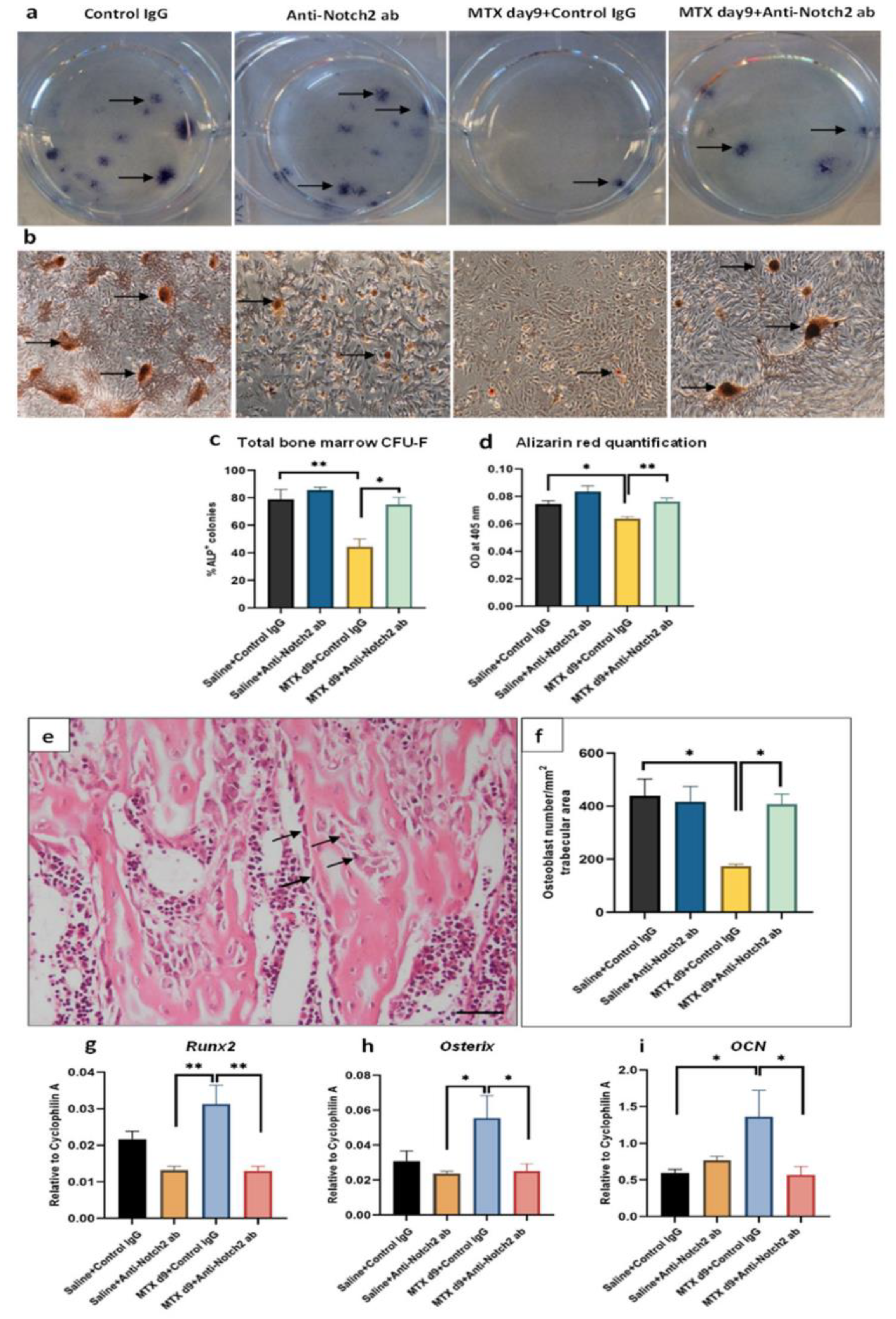 Cells 11 01521 g006 Cells 11 01521 g006