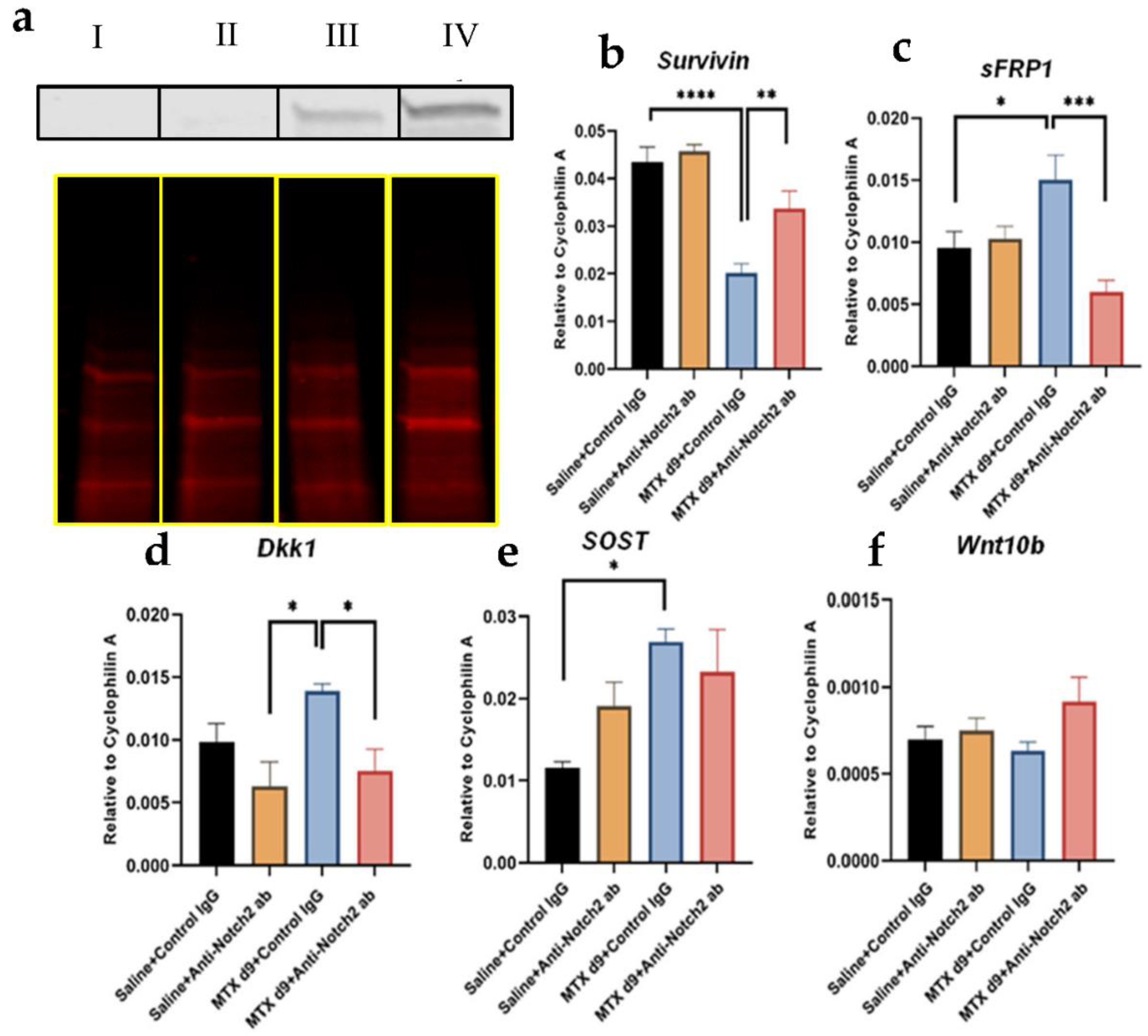 Cells 11 01521 g007 Cells 11 01521 g007