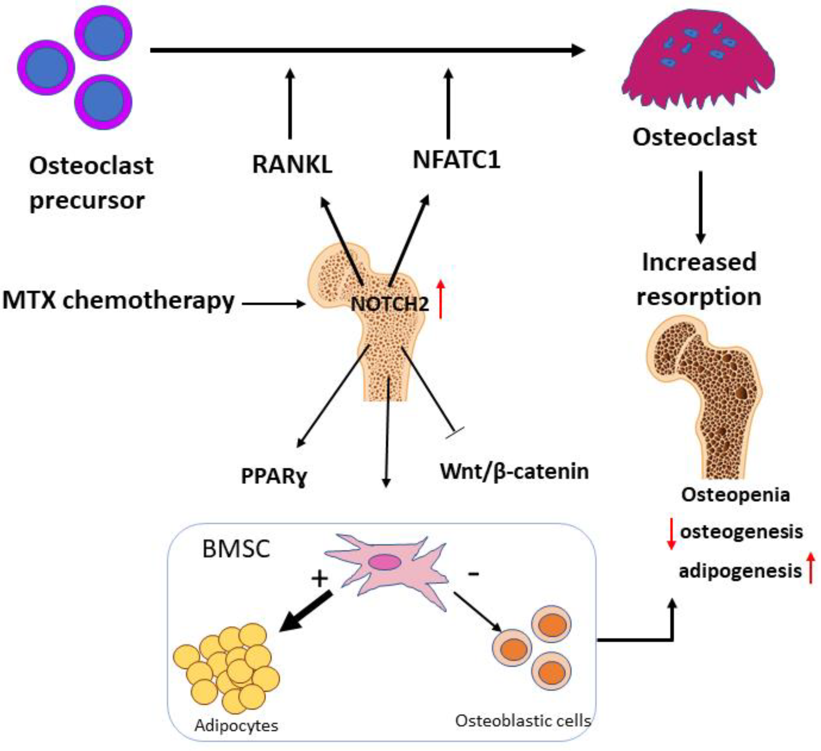 Cells 11 01521 g008 Cells 11 01521 g008