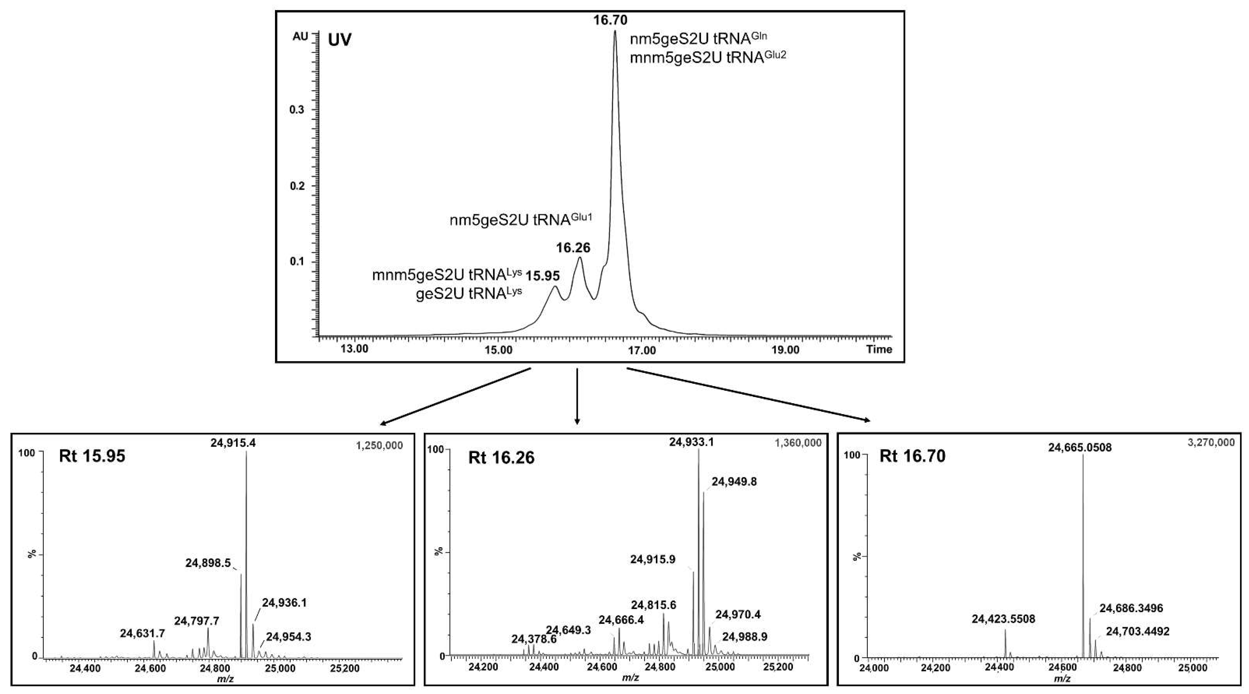 Cells 11 01522 g004 550
