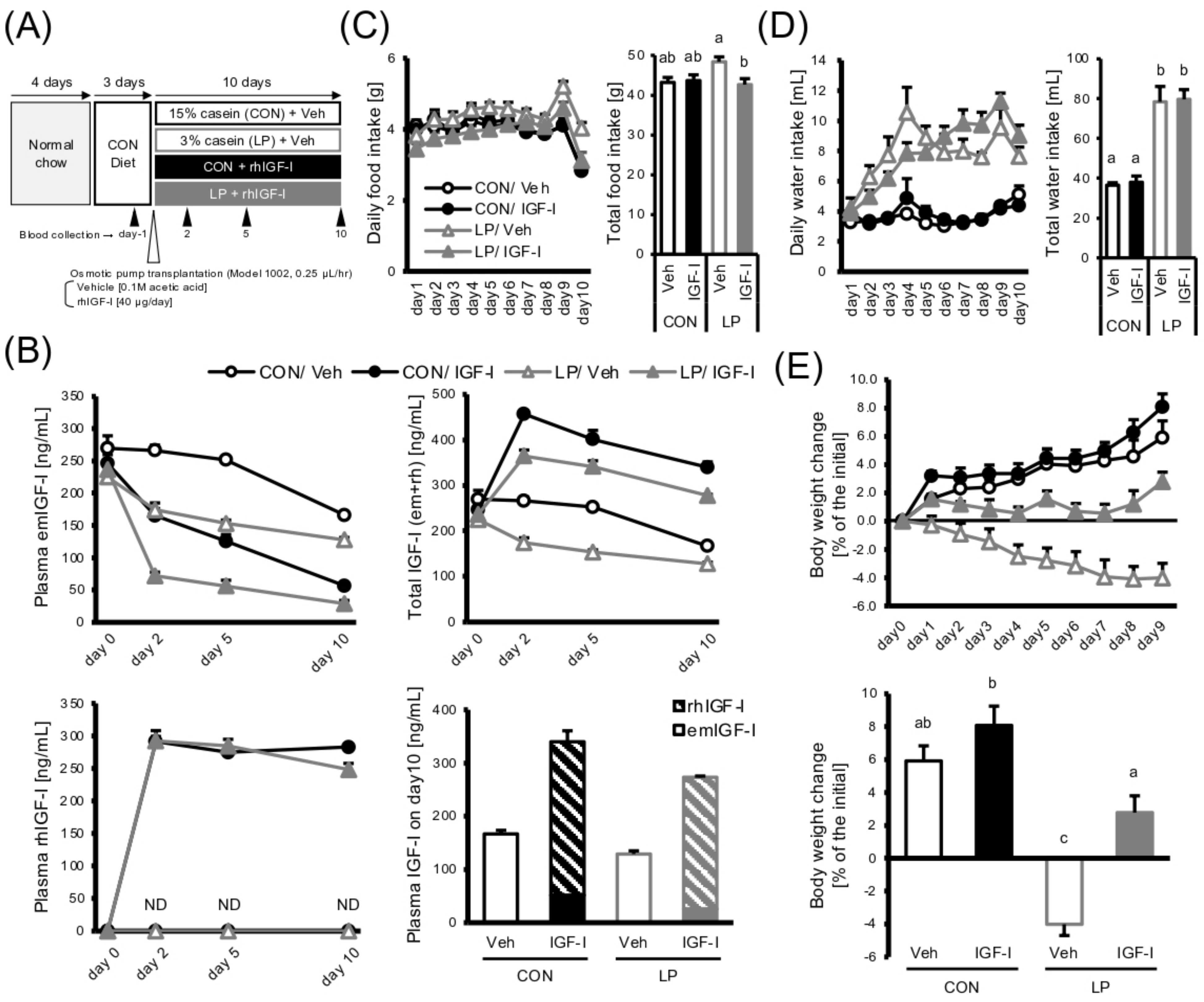 Cells 11 01523 g002 Cells 11 01523 g002