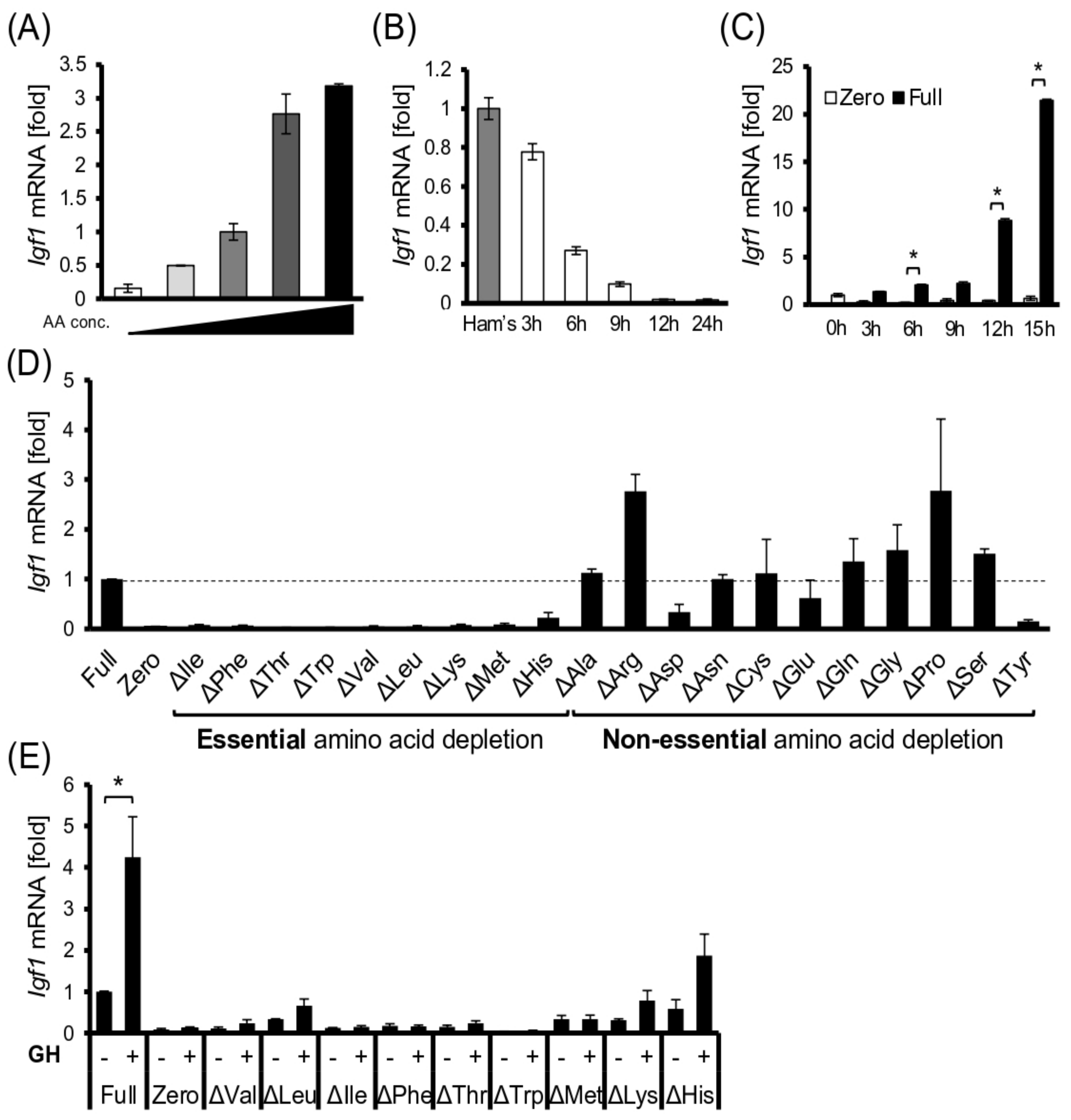 Cells 11 01523 g003 Cells 11 01523 g003