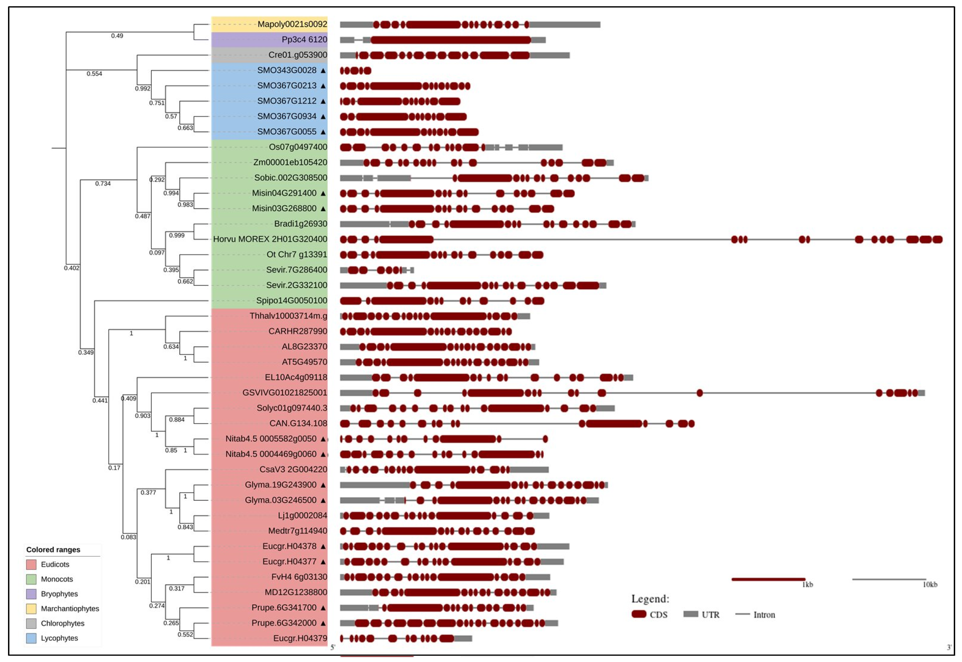 Cells 11 01529 g001 Cells 11 01529 g001