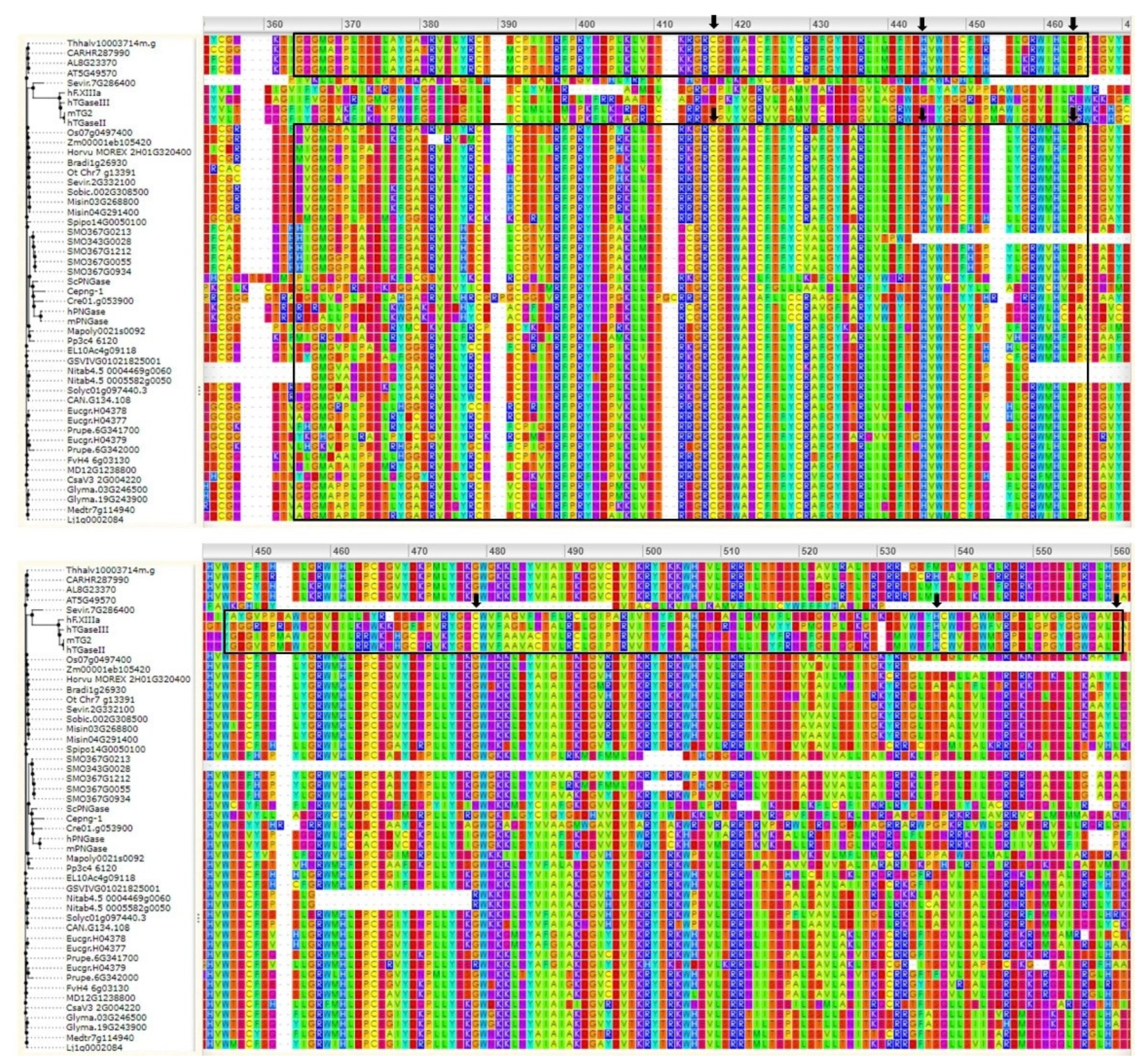 Cells 11 01529 g002 Cells 11 01529 g002