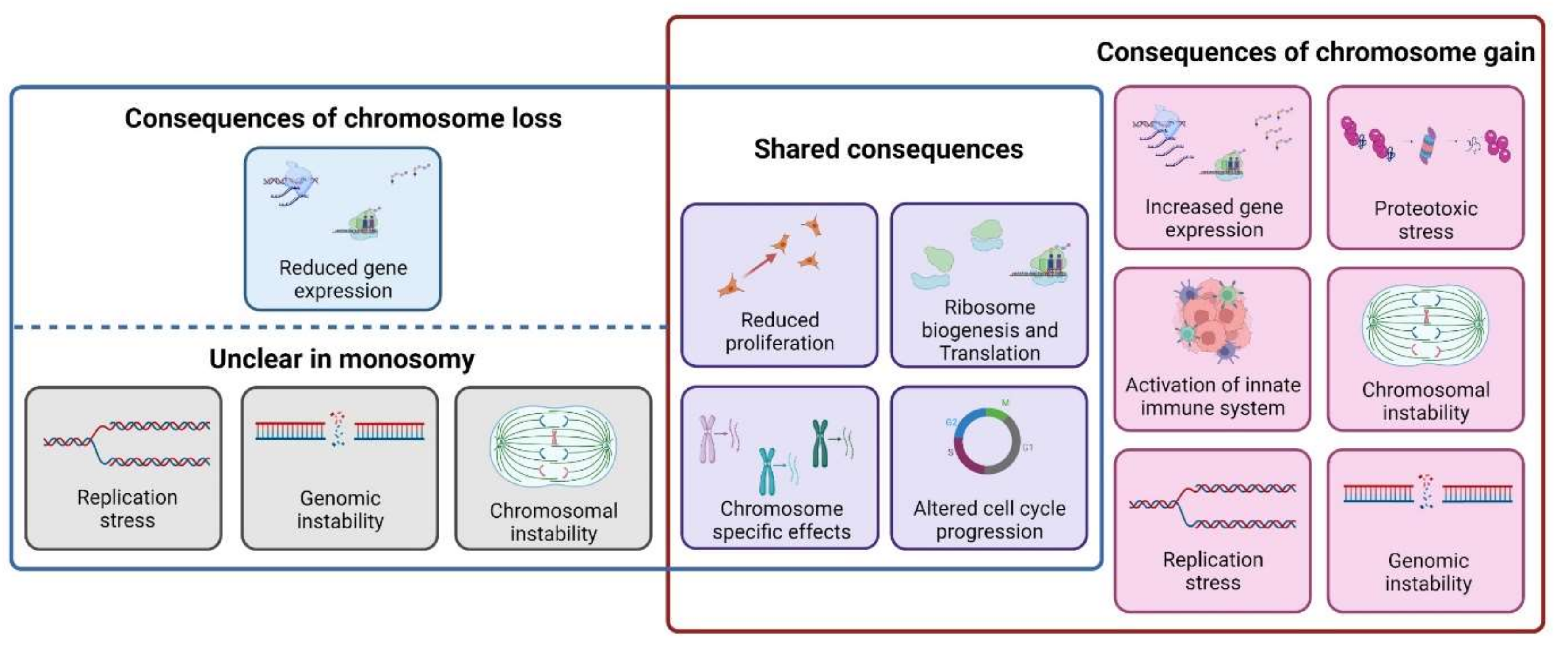 Cells 11 01530 g004 550