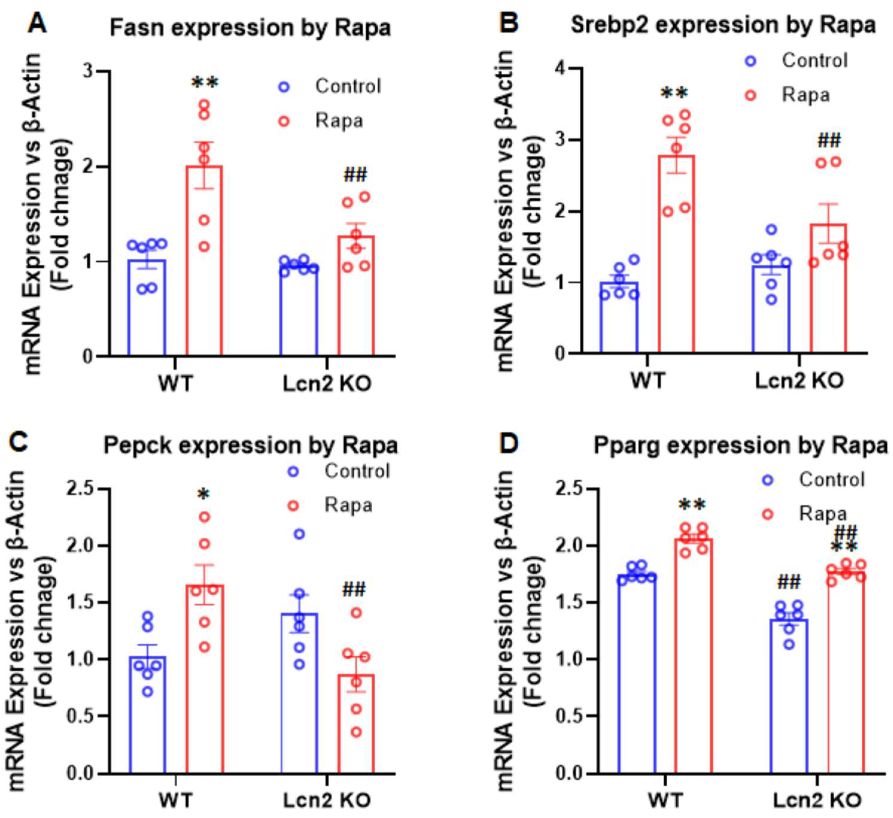 Cells 11 01535 g006 550