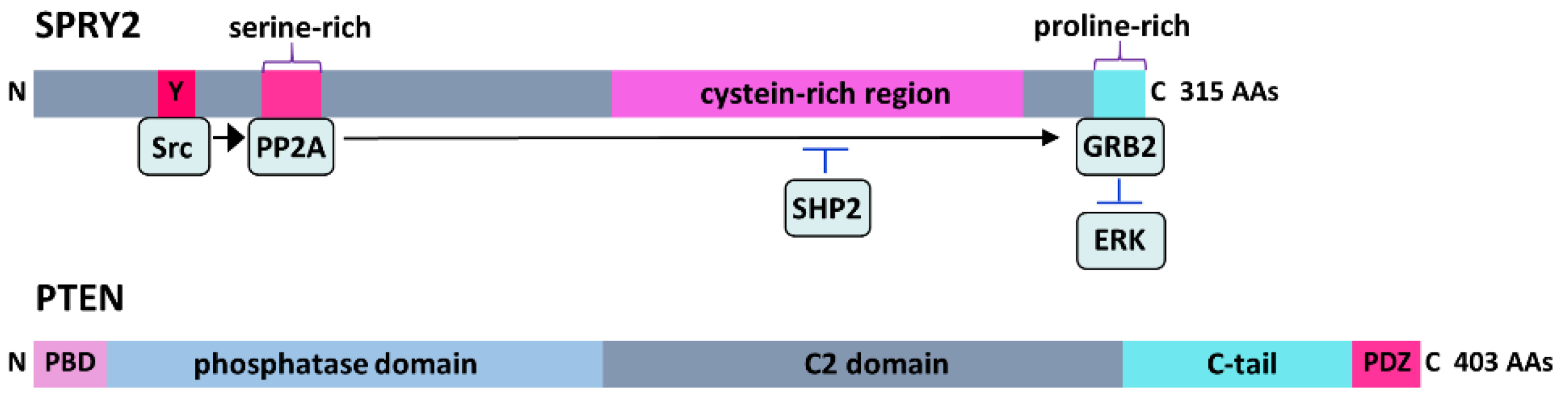 Cells 11 01537 g002 Cells 11 01537 g002