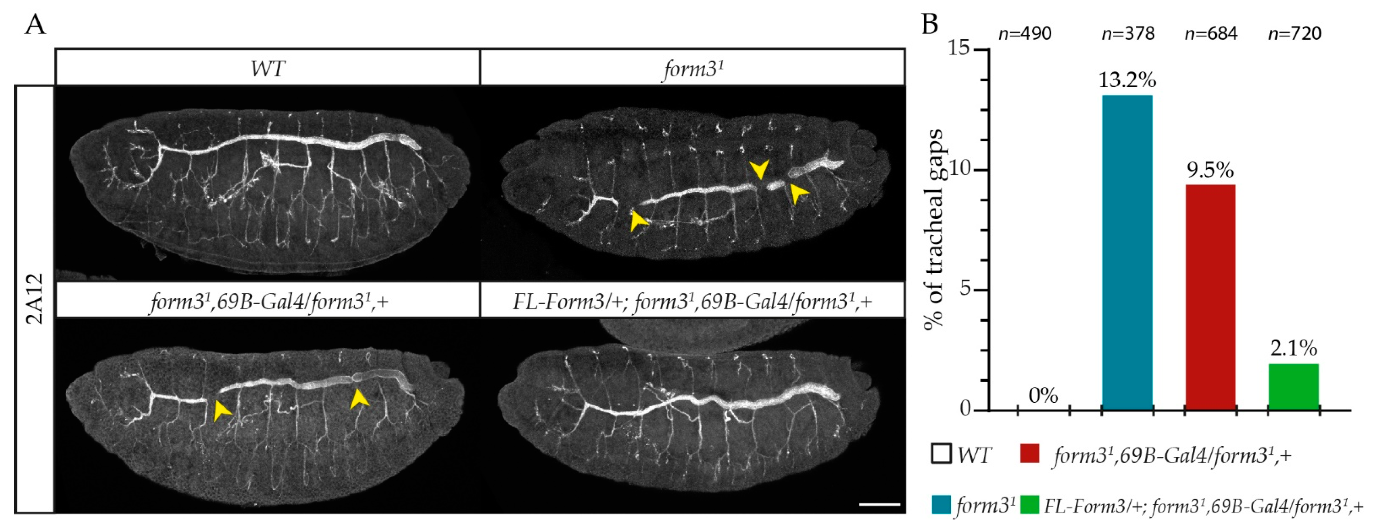 Cells 11 01539 g003 Cells 11 01539 g003